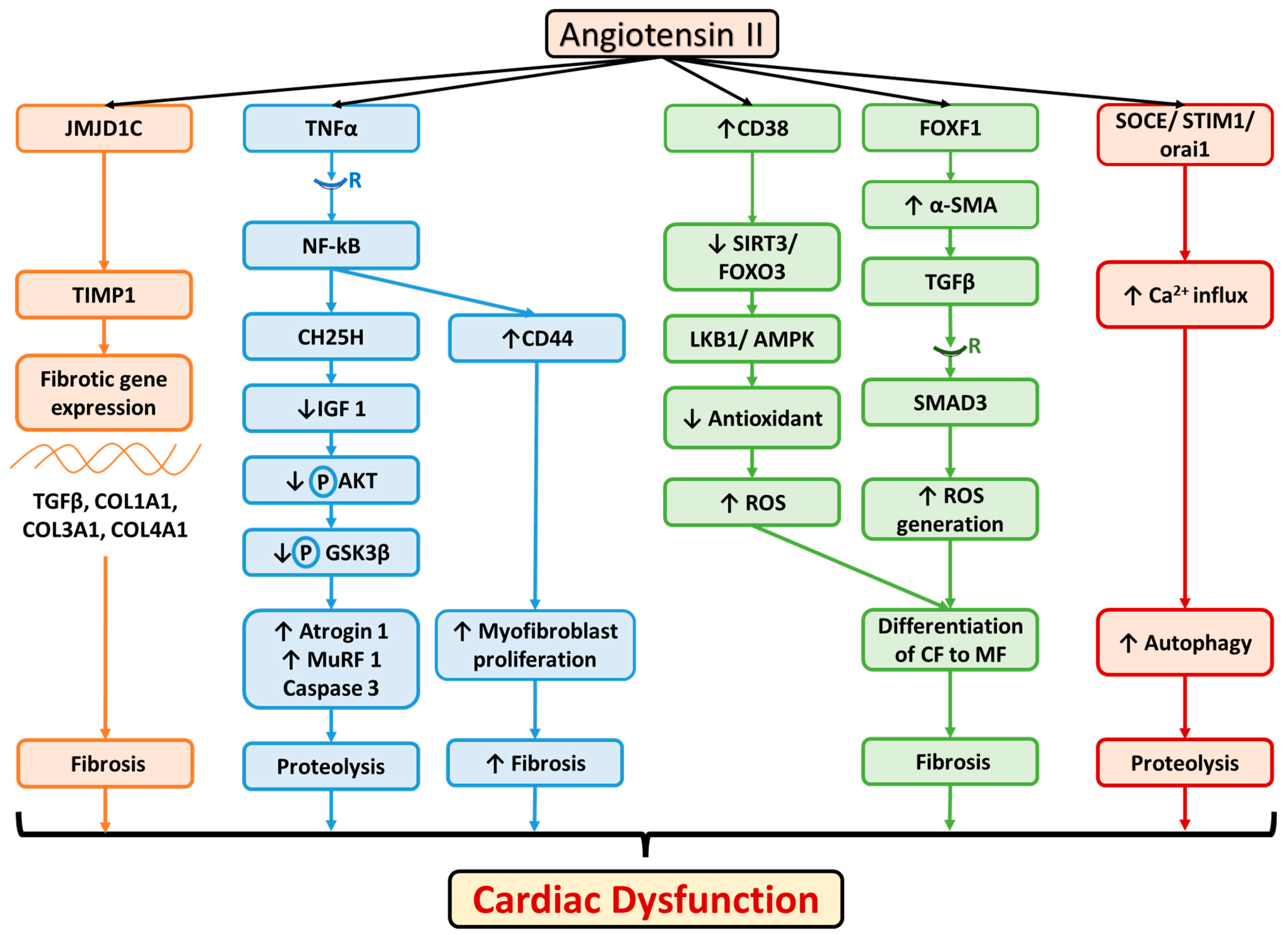 Cells 11 00990 g004 Cells 11 00990 g004