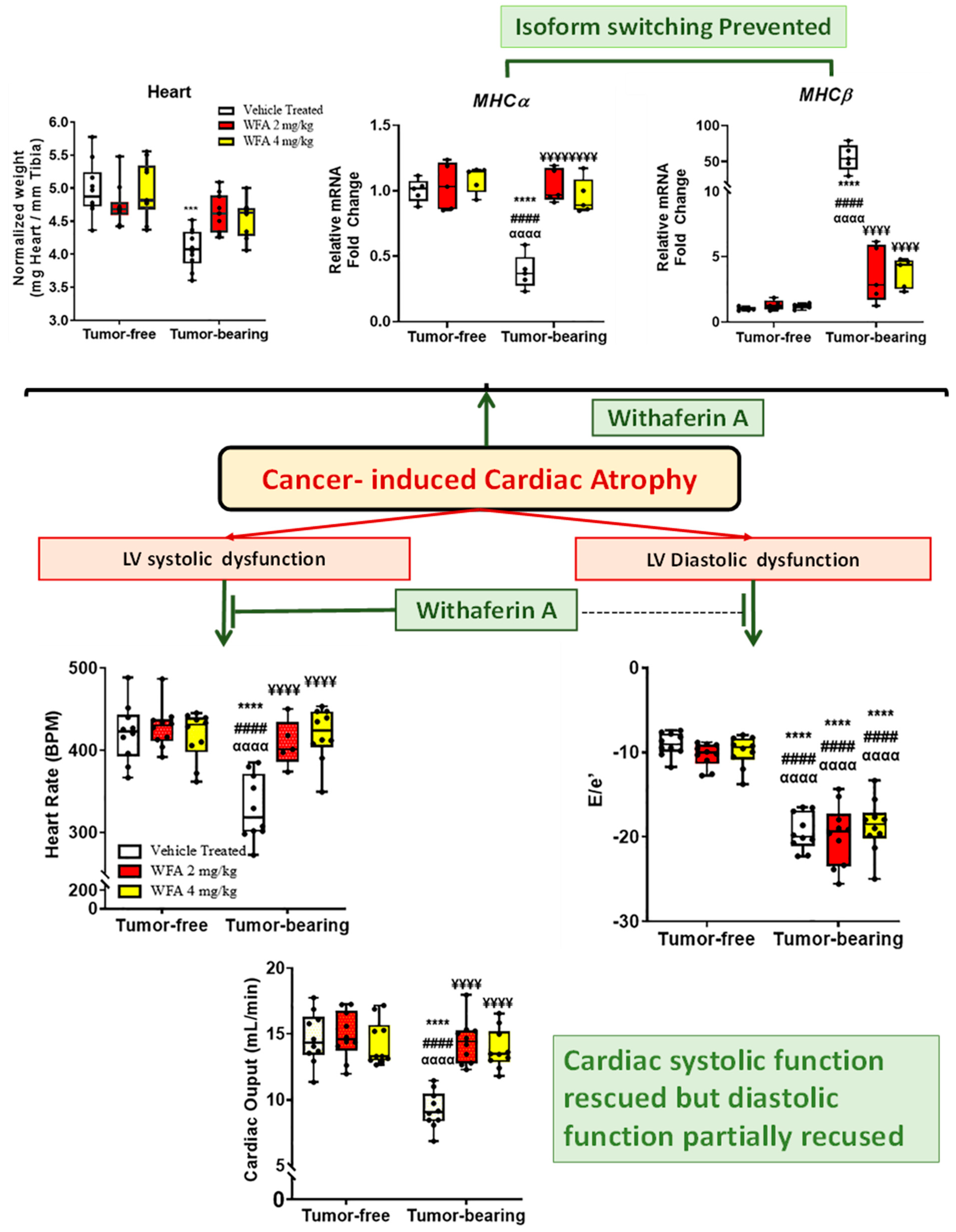 Cells 11 00990 g005 Cells 11 00990 g005