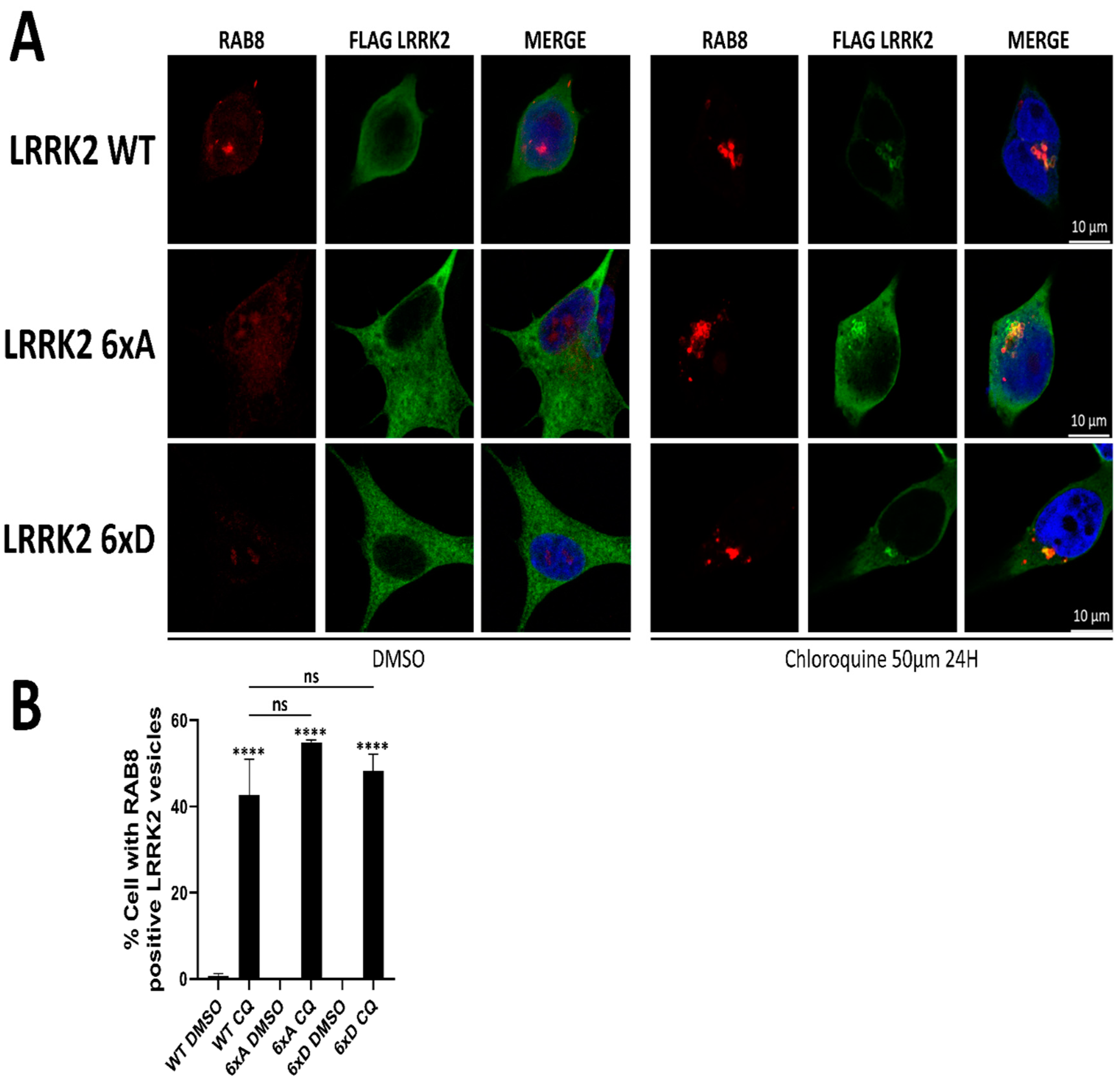Cells 11 01018 g006