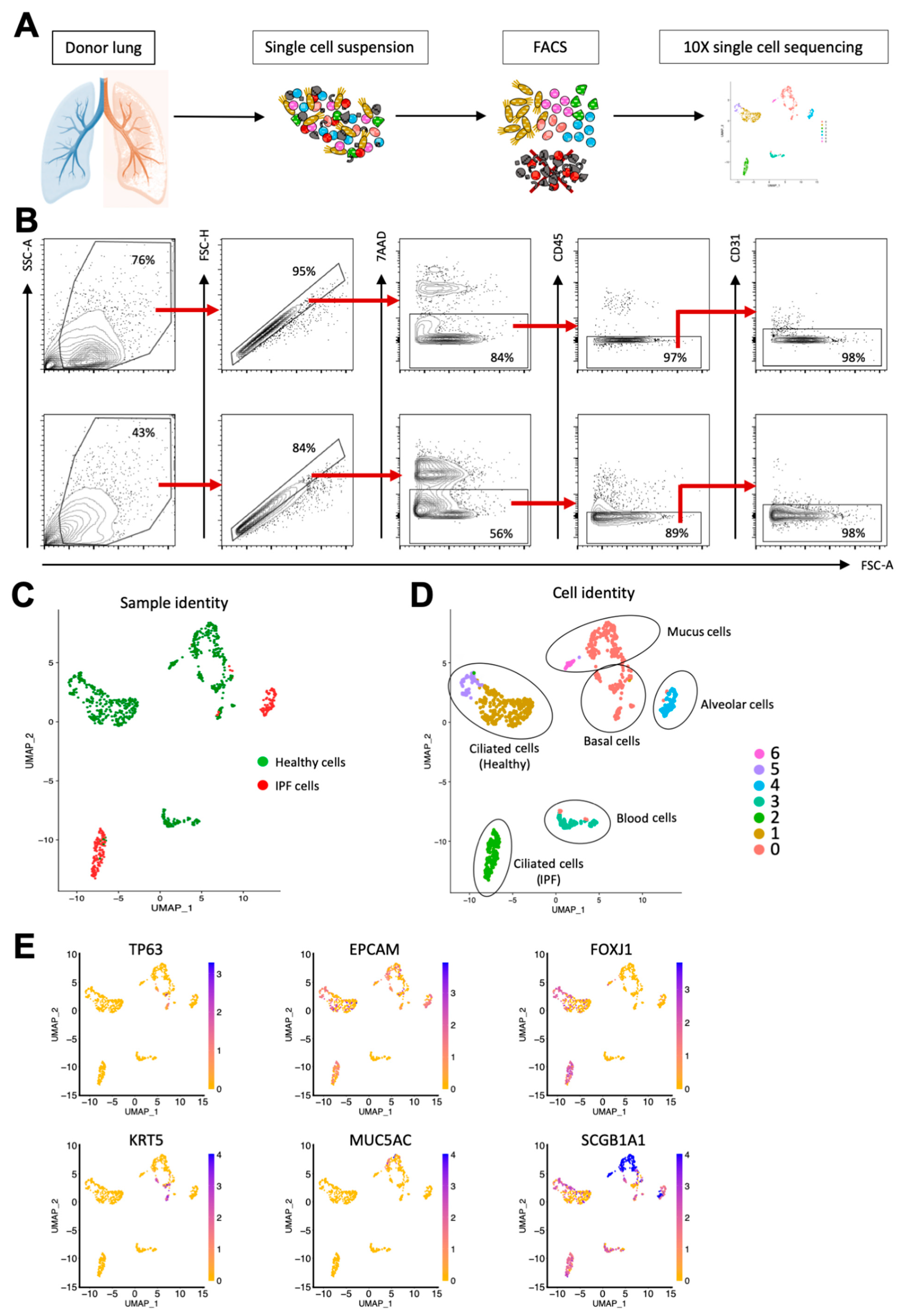 Cells 11 01031 g002 Cells 11 01031 g002