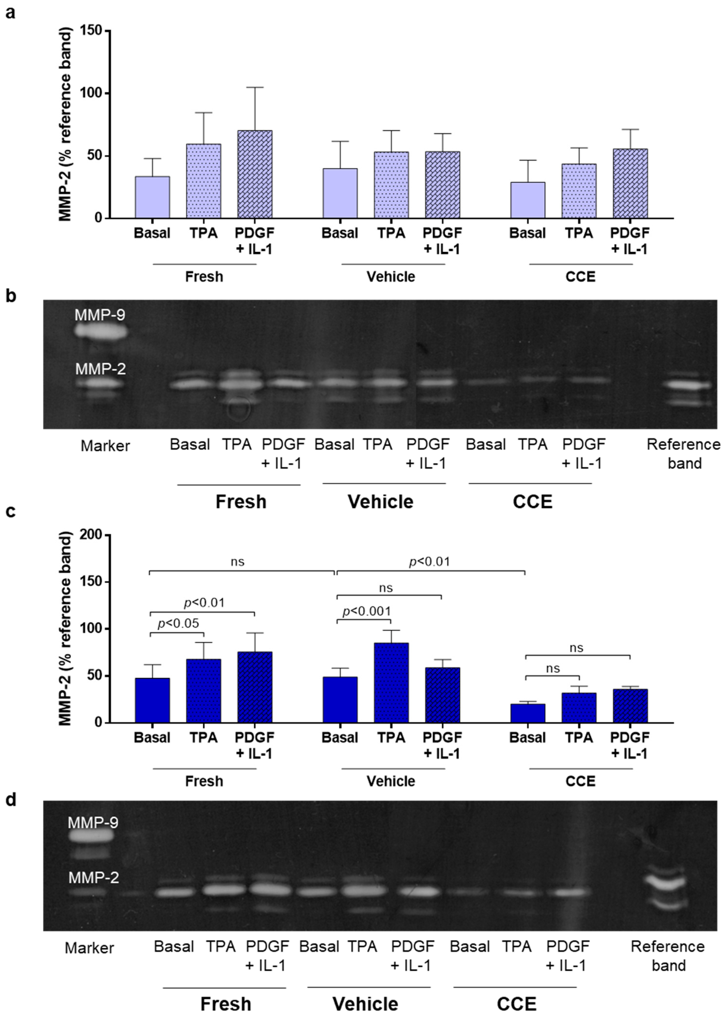 Cells 11 01043 g004 Cells 11 01043 g004