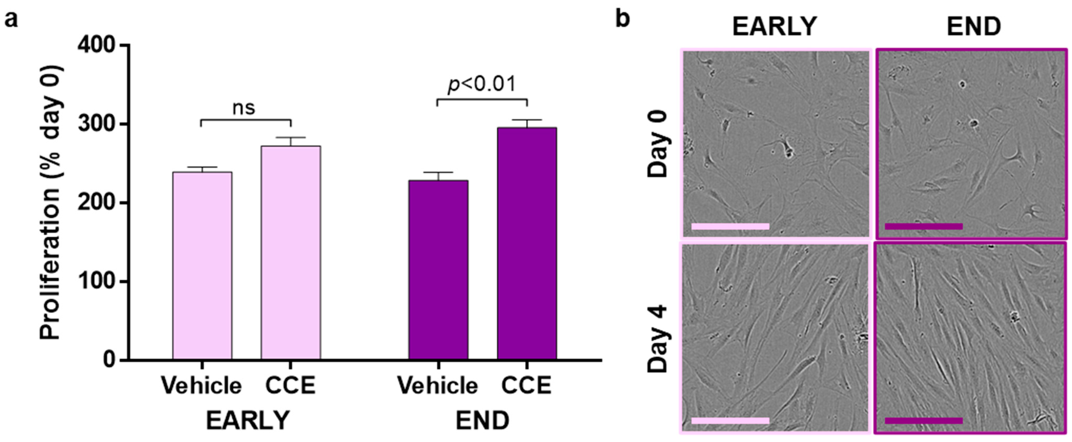 Cells 11 01043 g005 Cells 11 01043 g005