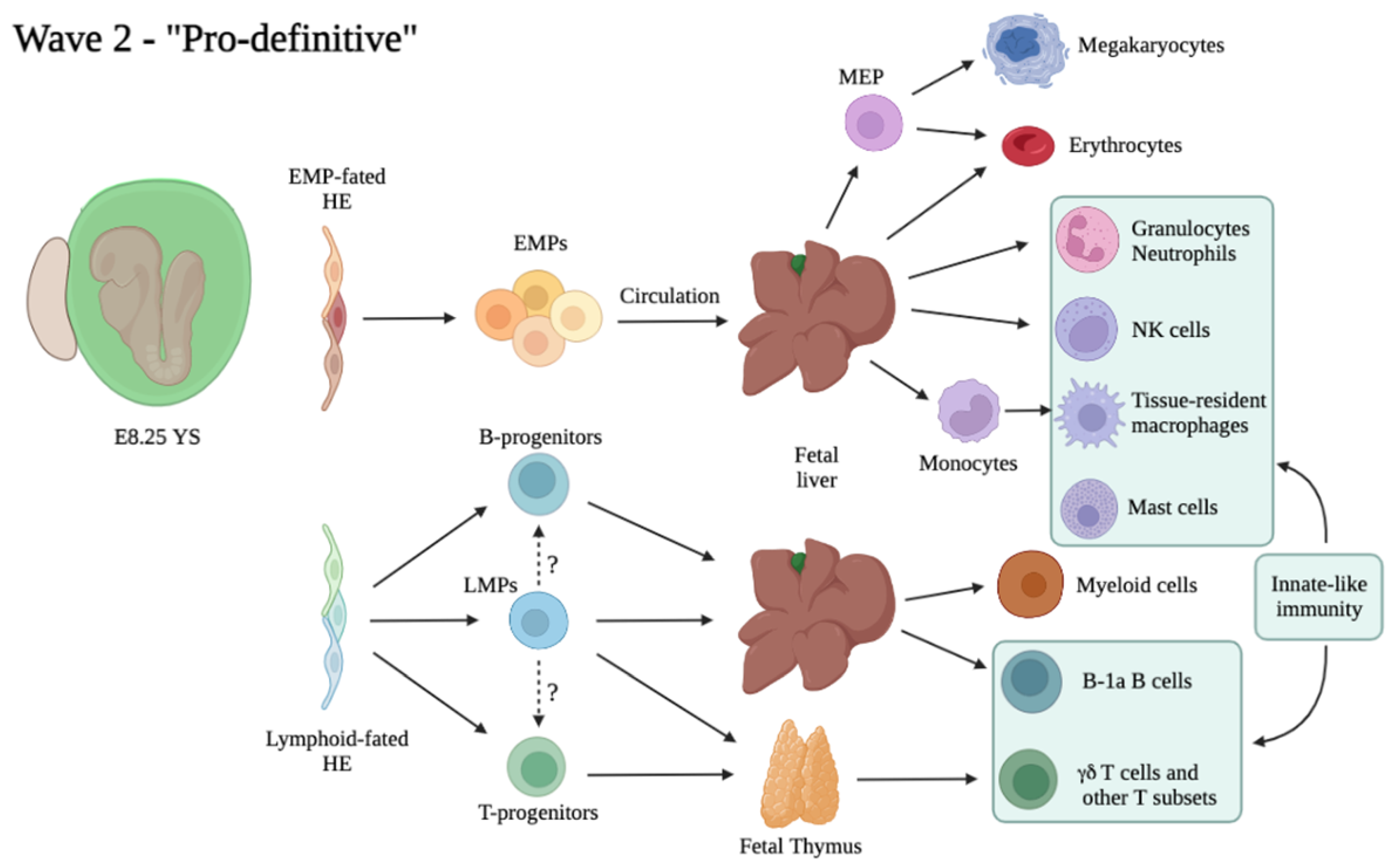 Cells 11 01061 g002 Cells 11 01061 g002