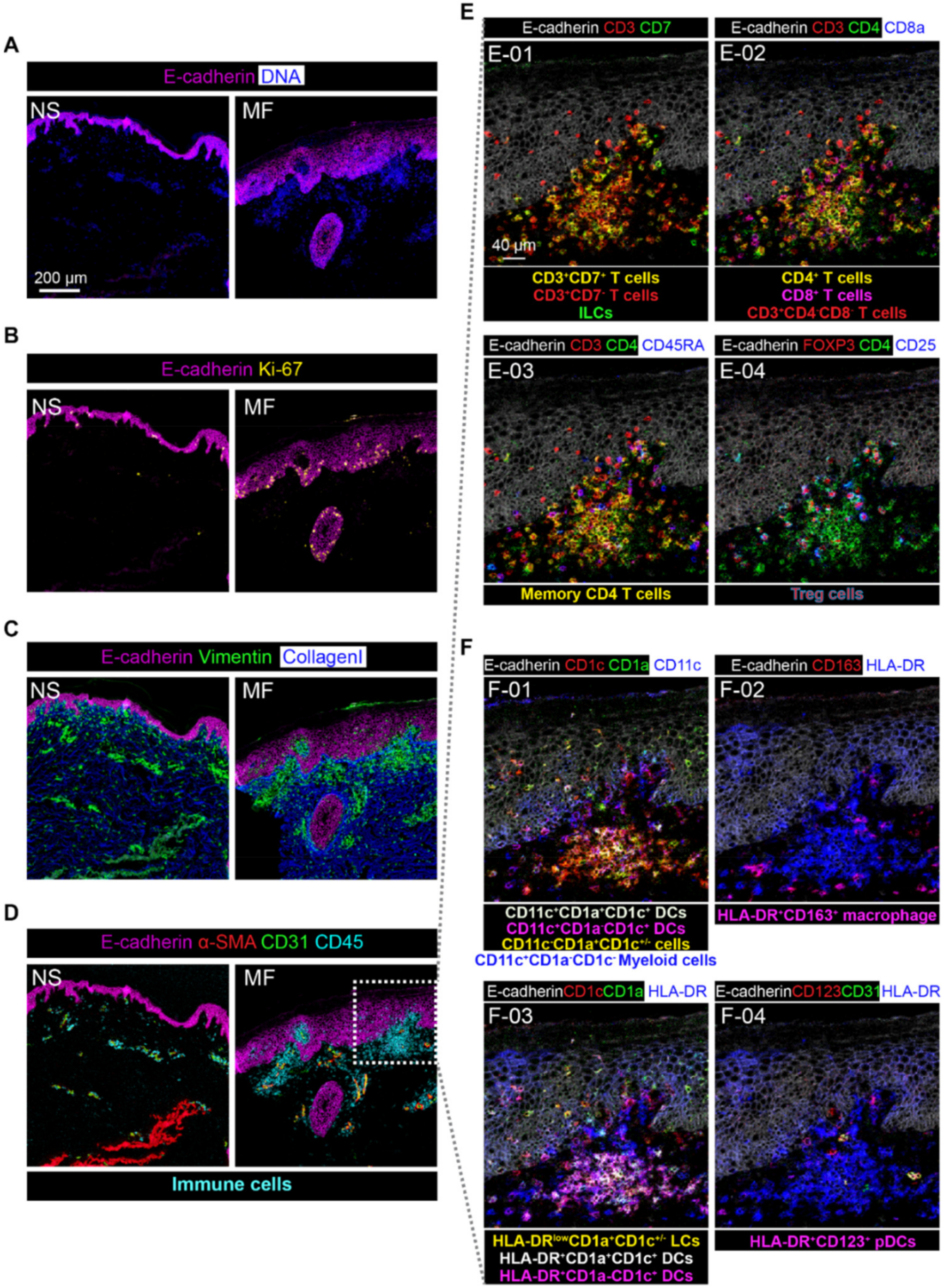 Cells 11 01062 g005 Cells 11 01062 g005