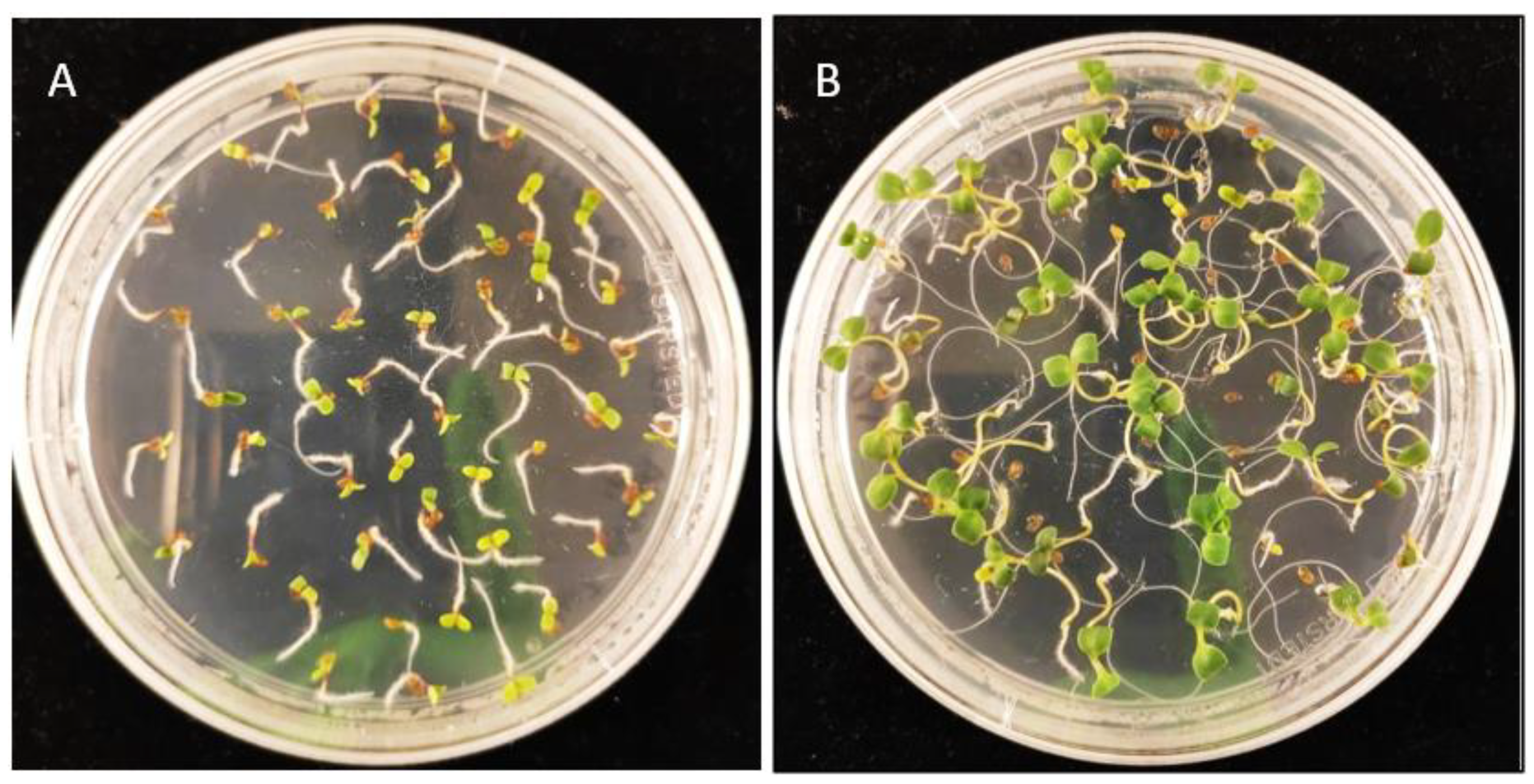 Cells 11 01068 g005 550