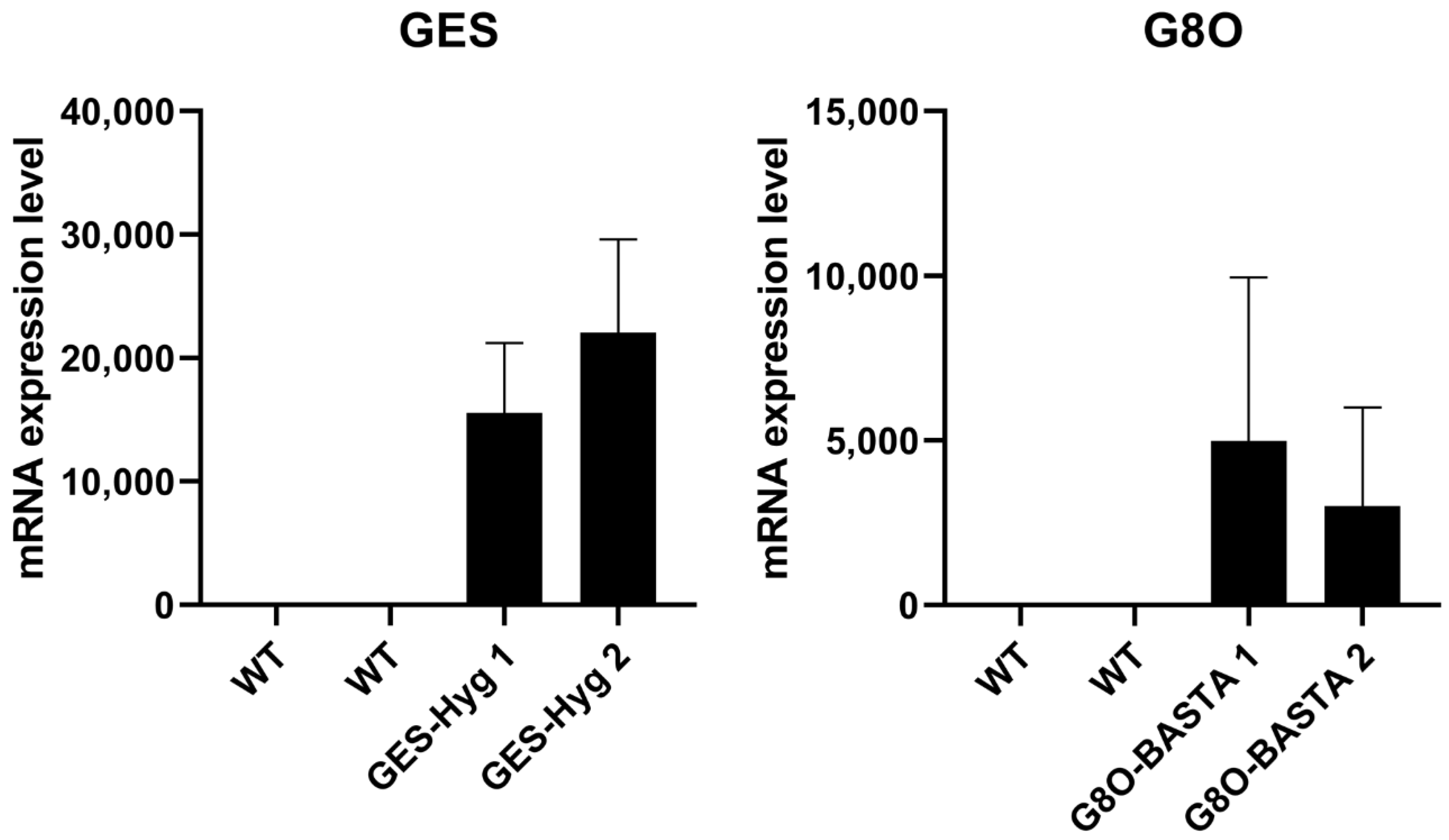 Cells 11 01068 g007 550