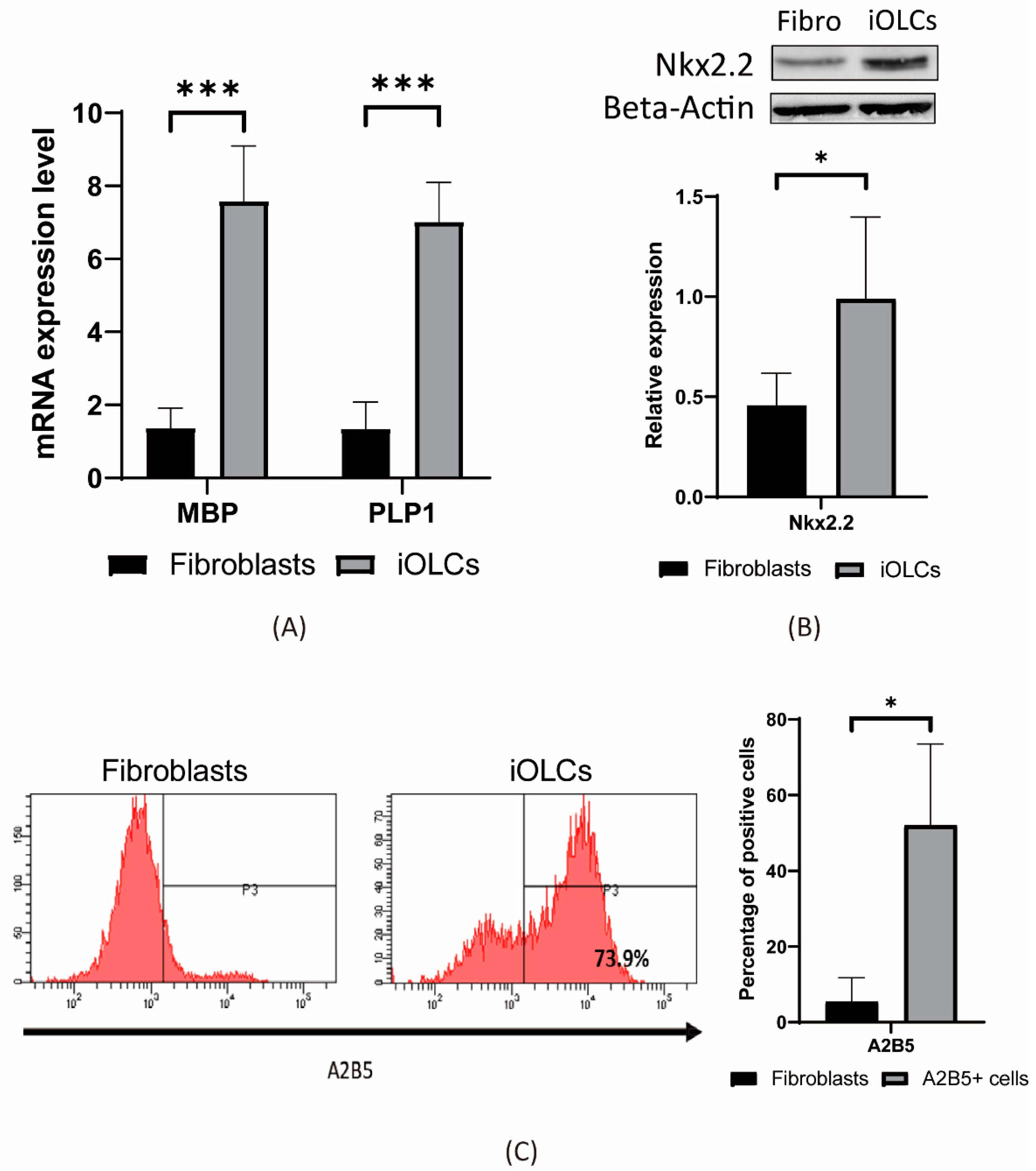 Cells 11 01091 g004 Cells 11 01091 g004