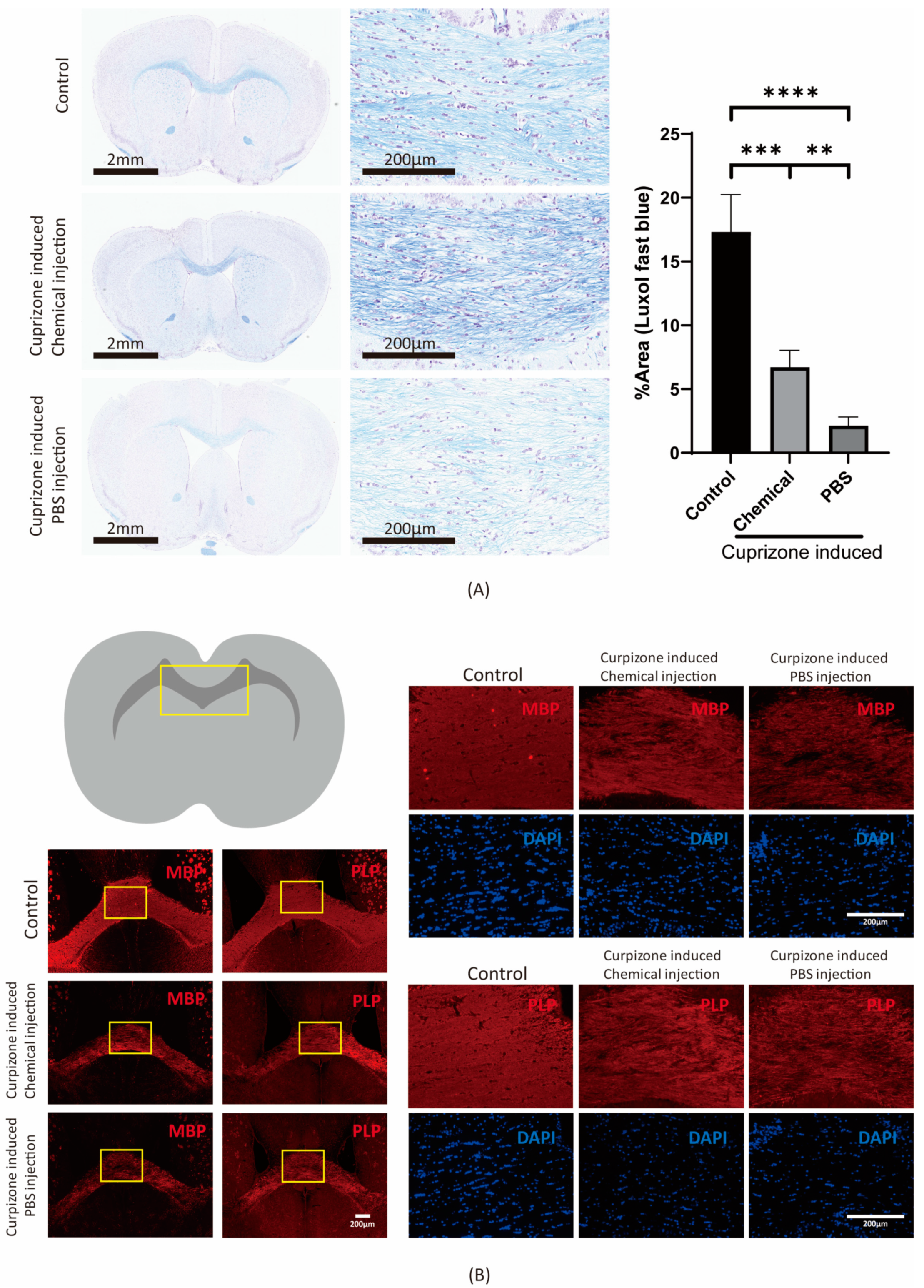 Cells 11 01091 g006 Cells 11 01091 g006