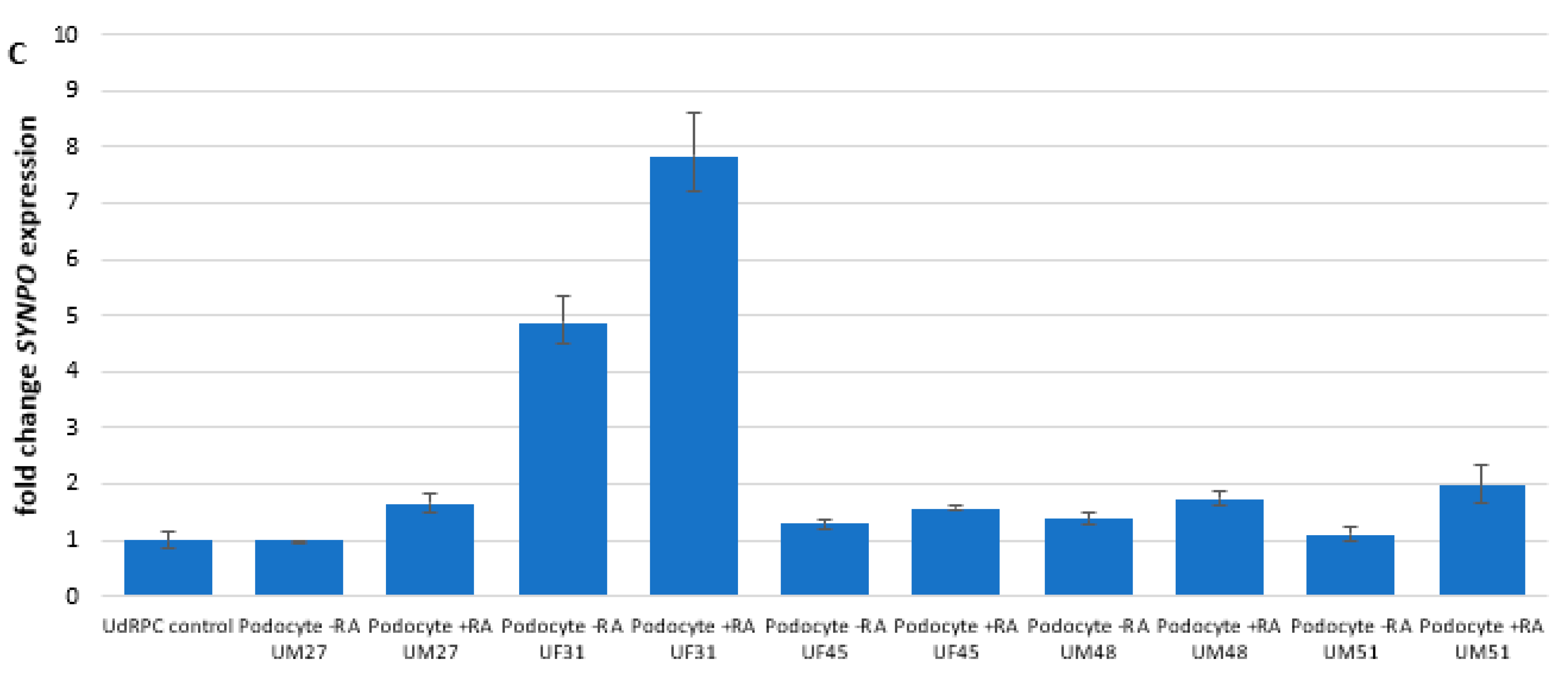 Cells 11 01095 g001b Cells 11 01095 g001b