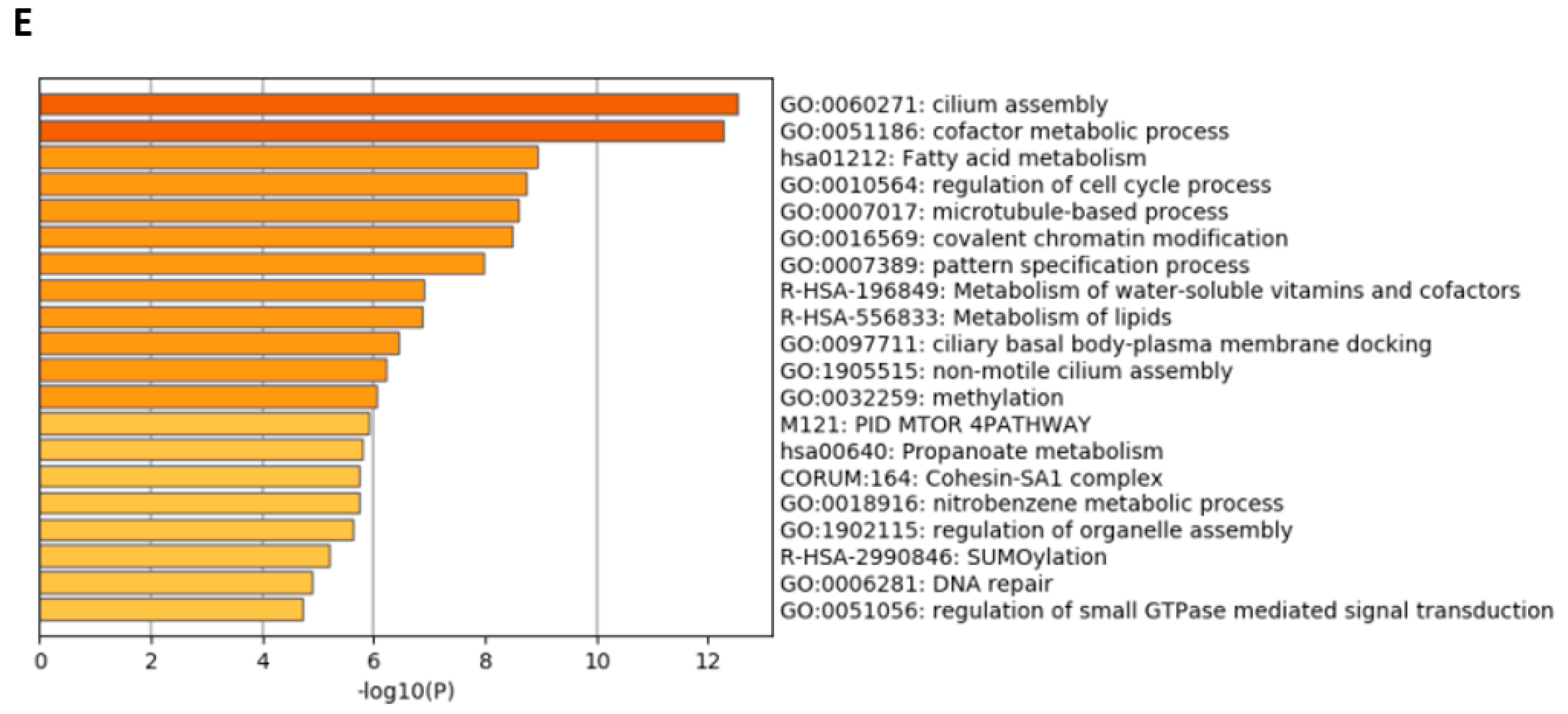 Cells 11 01095 g003b Cells 11 01095 g003b
