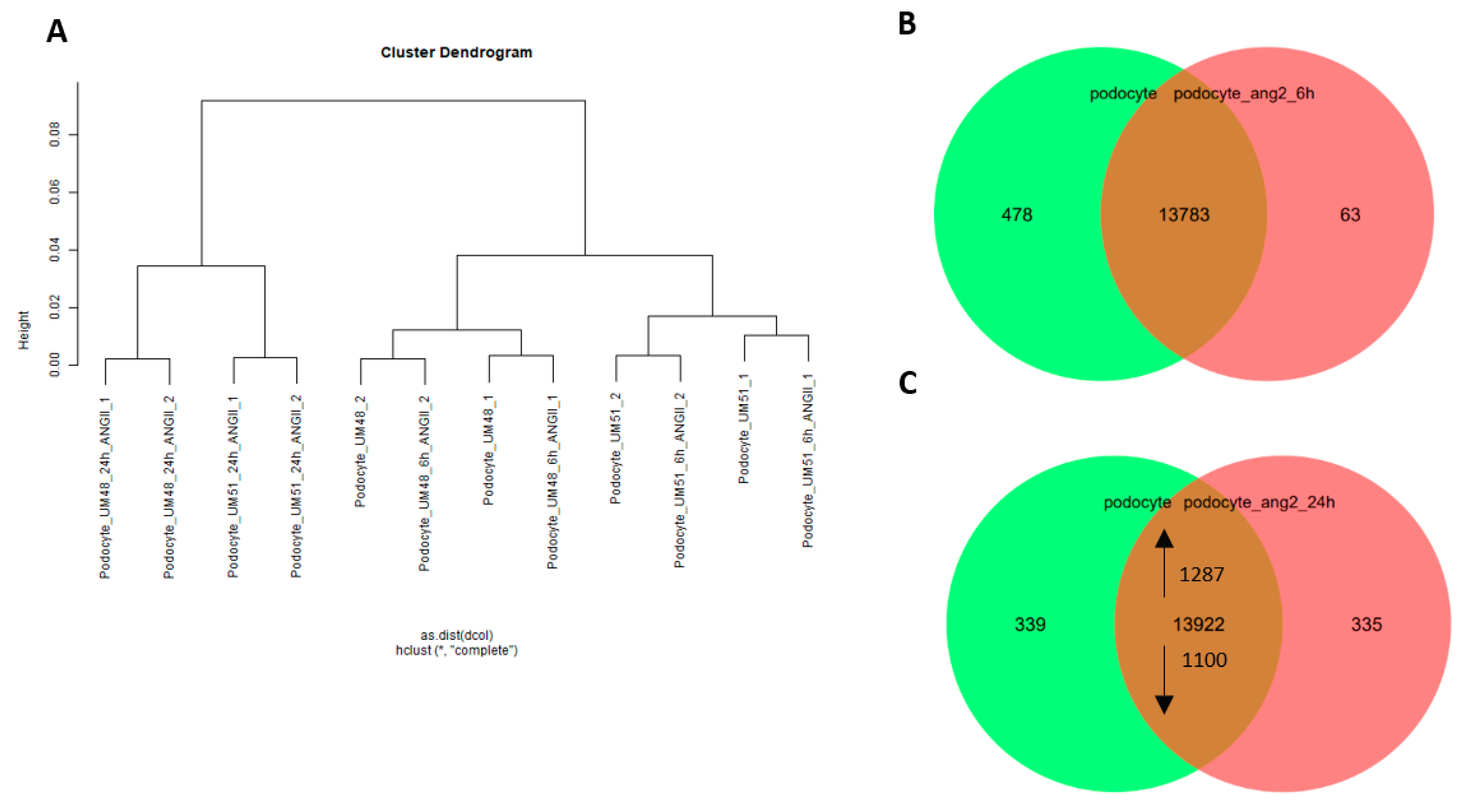 Cells 11 01095 g005a Cells 11 01095 g005a