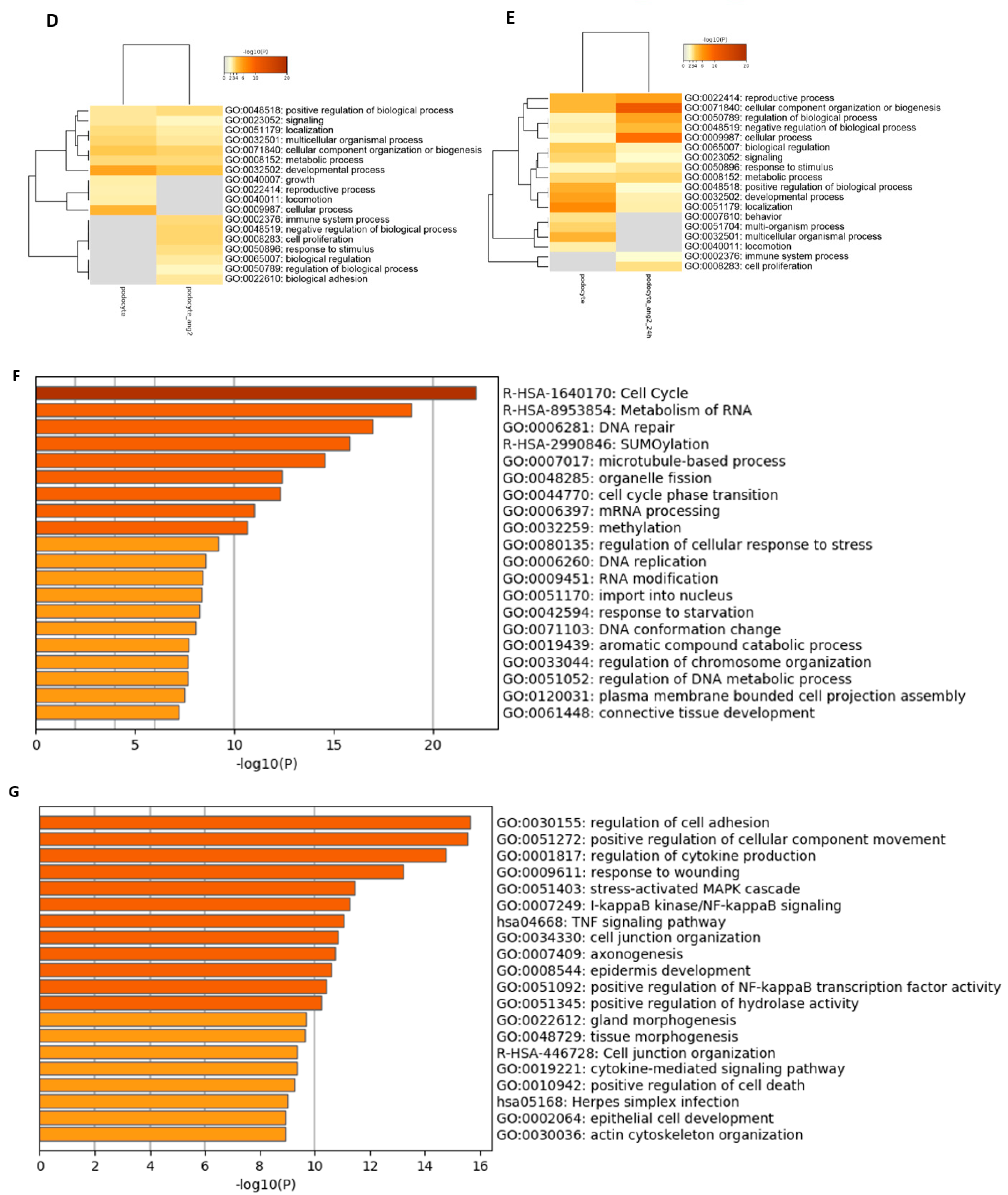 Cells 11 01095 g005b Cells 11 01095 g005b