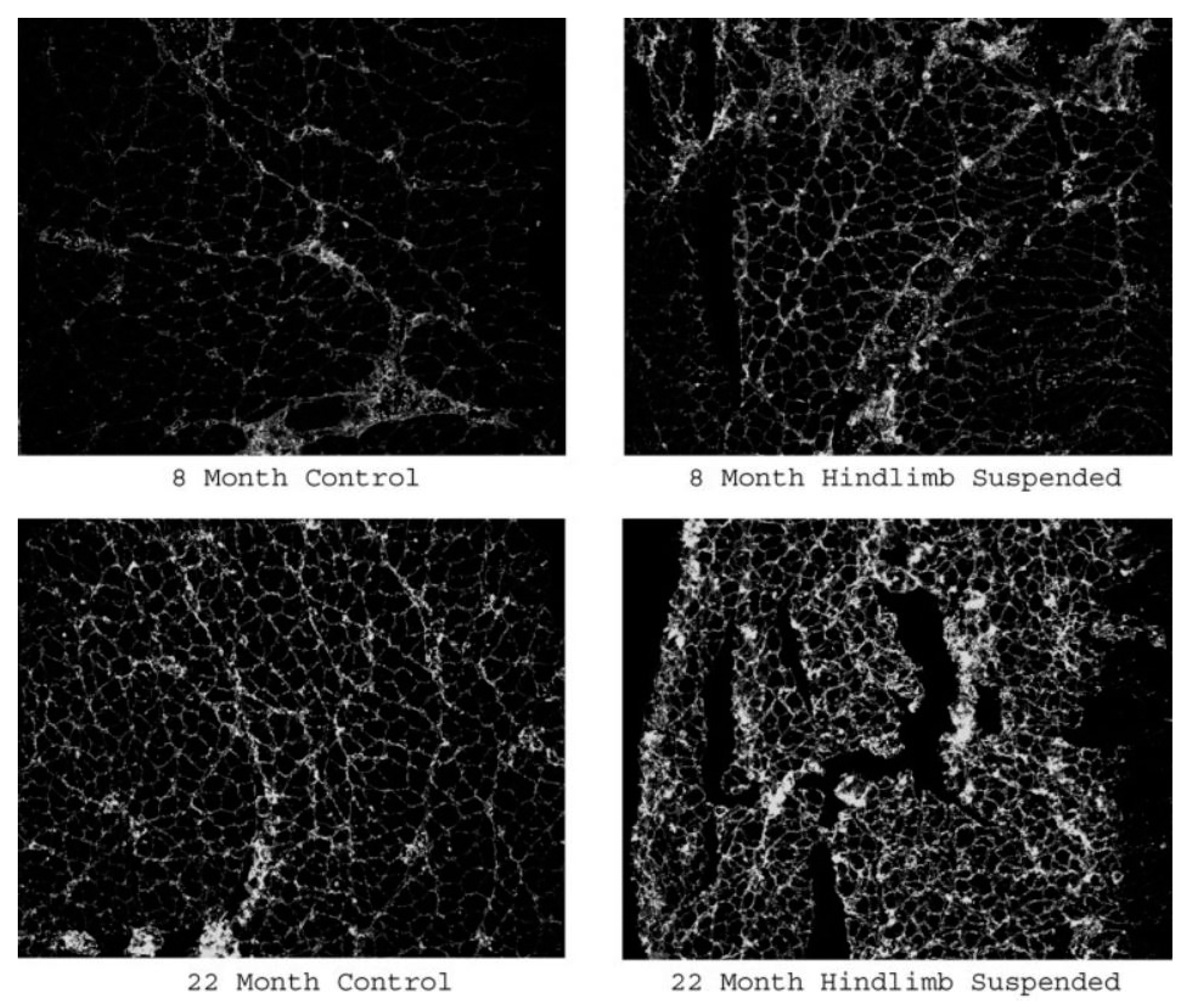 Cells 11 01150 g005