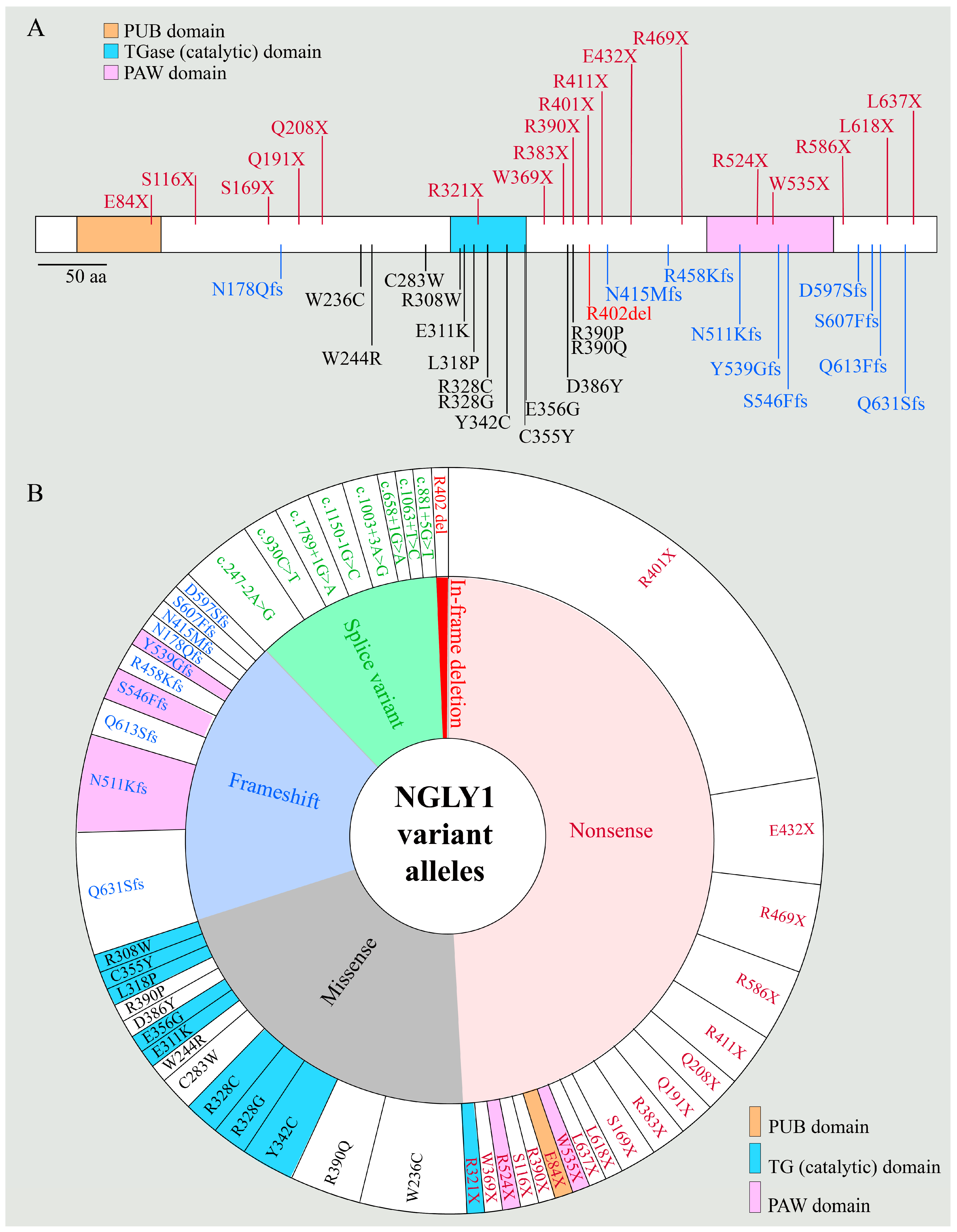 Cells 11 01155 g002 Cells 11 01155 g002