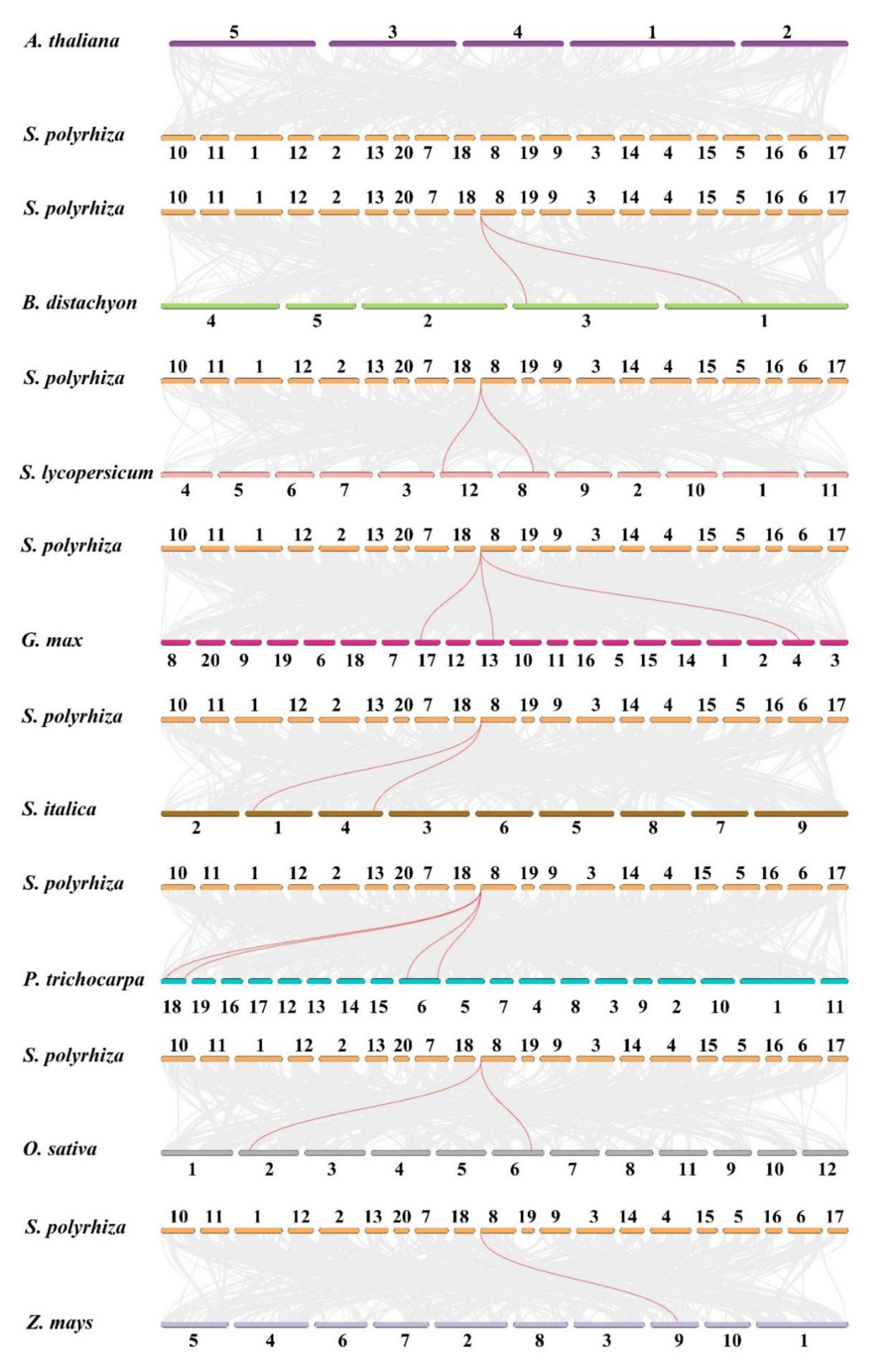 Cells 11 01167 g005 Cells 11 01167 g005