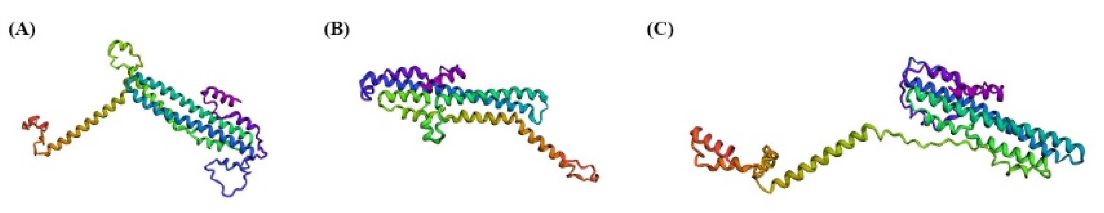 Cells 11 01167 g007 Cells 11 01167 g007