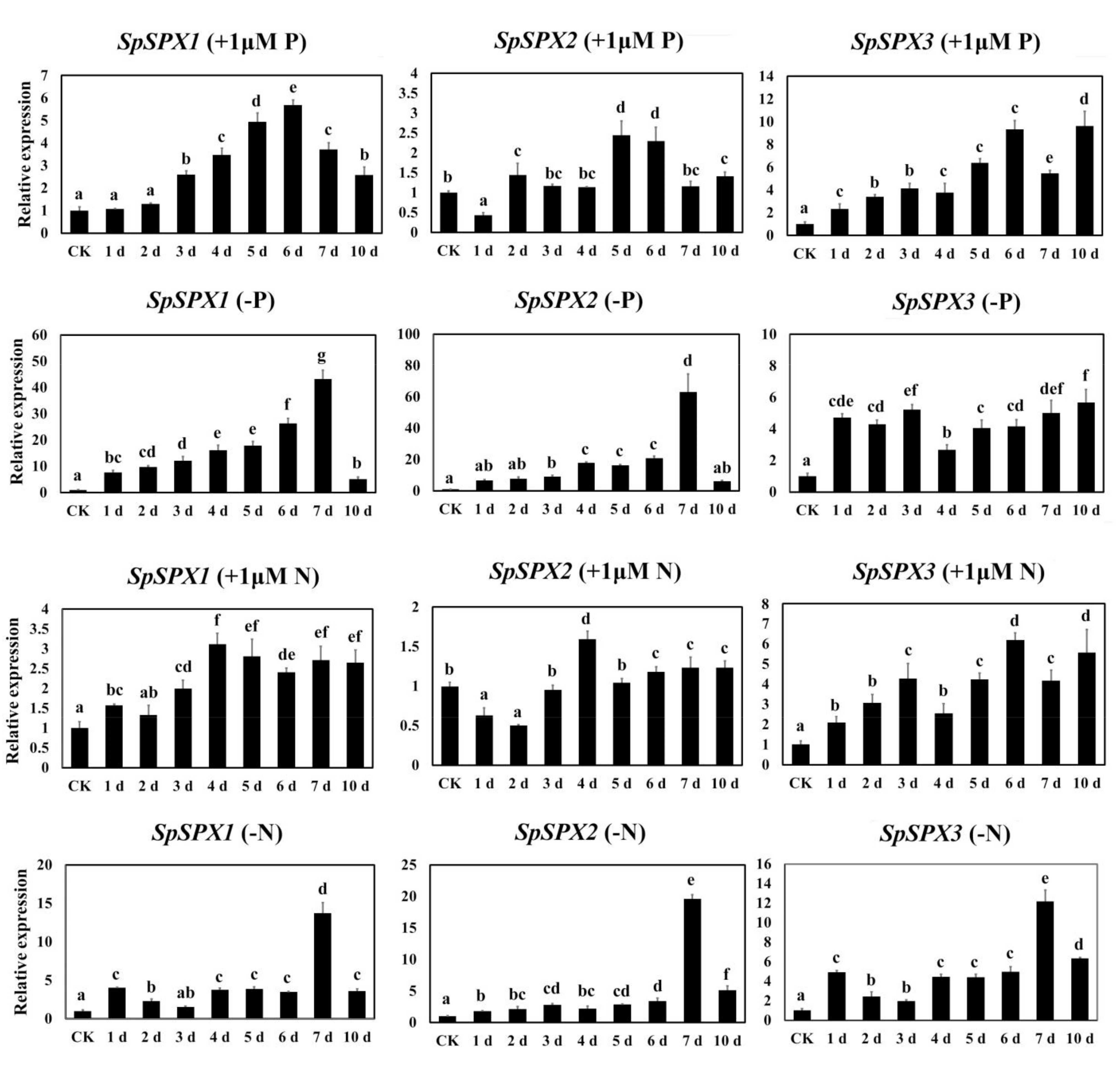 Cells 11 01167 g009 Cells 11 01167 g009