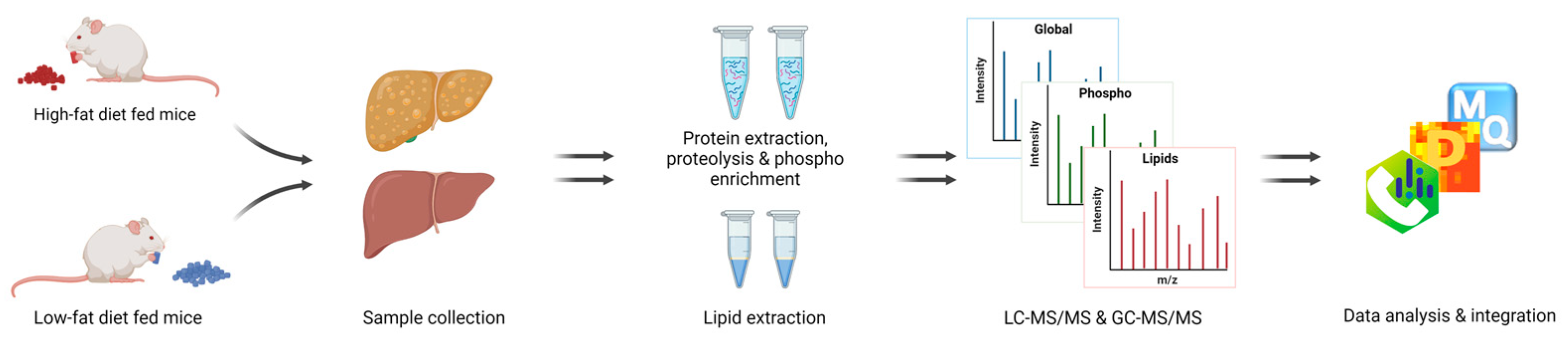 Cells 11 01172 g002 Cells 11 01172 g002