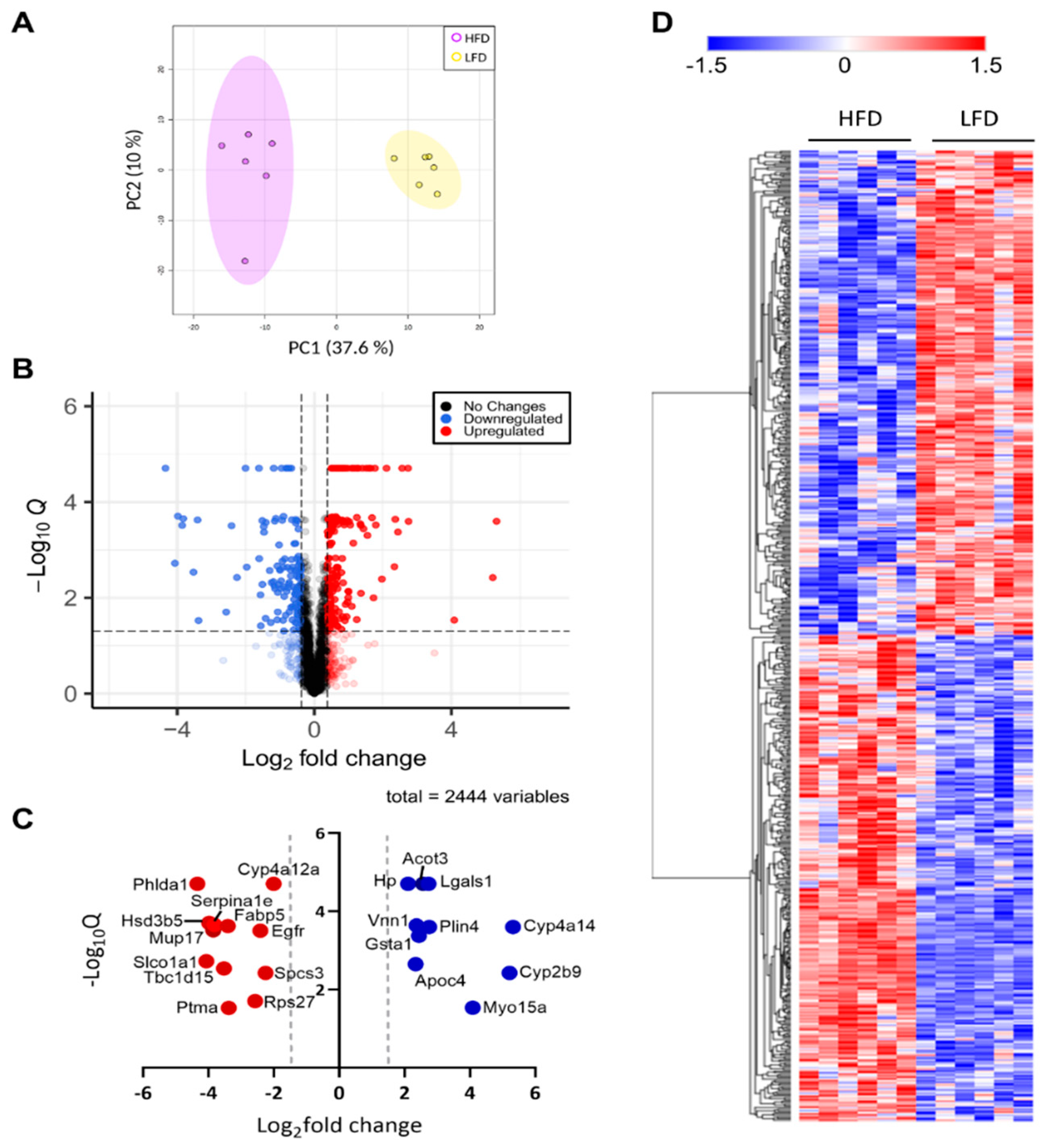 Cells 11 01172 g003 Cells 11 01172 g003