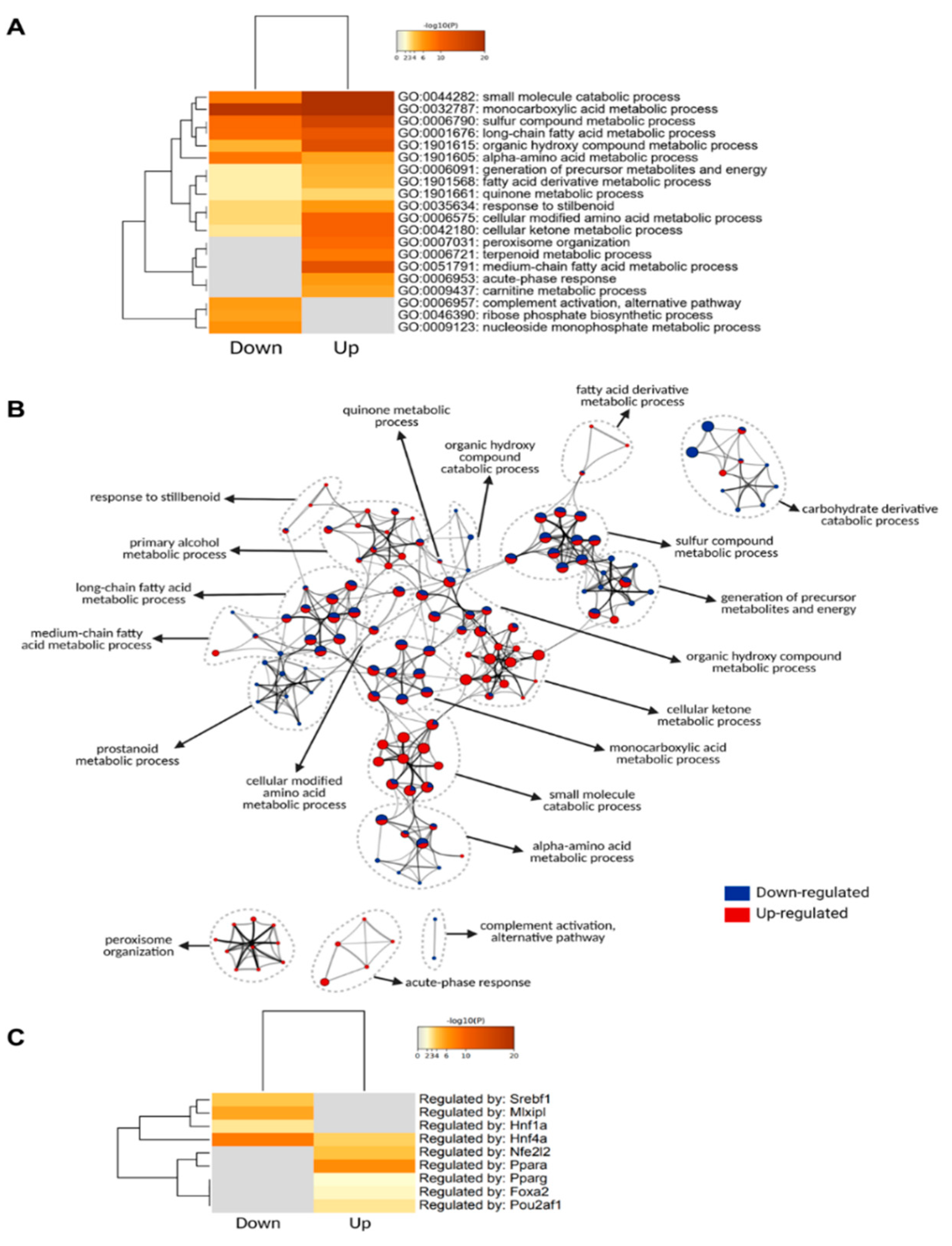 Cells 11 01172 g004 Cells 11 01172 g004