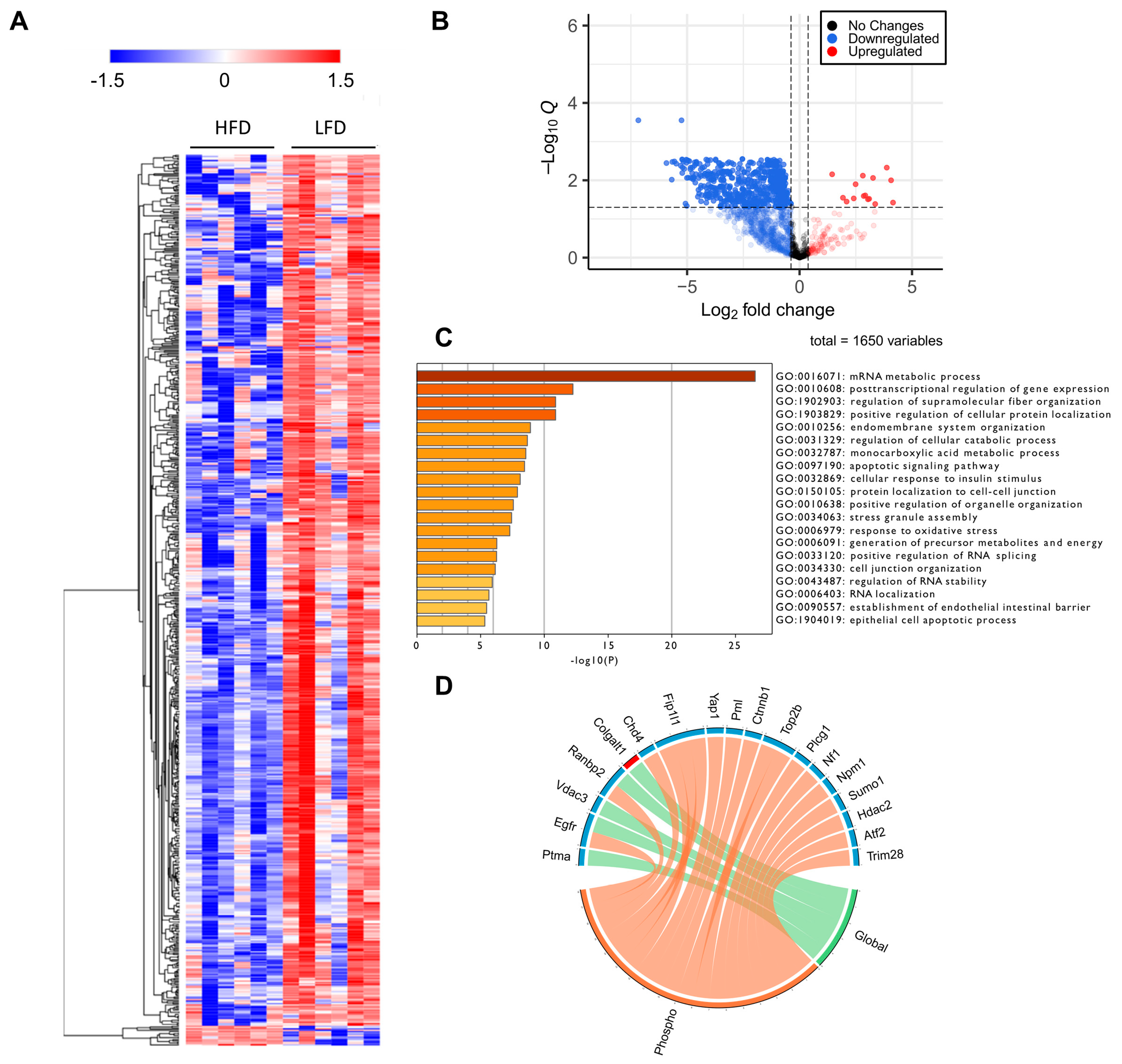 Cells 11 01172 g005 Cells 11 01172 g005