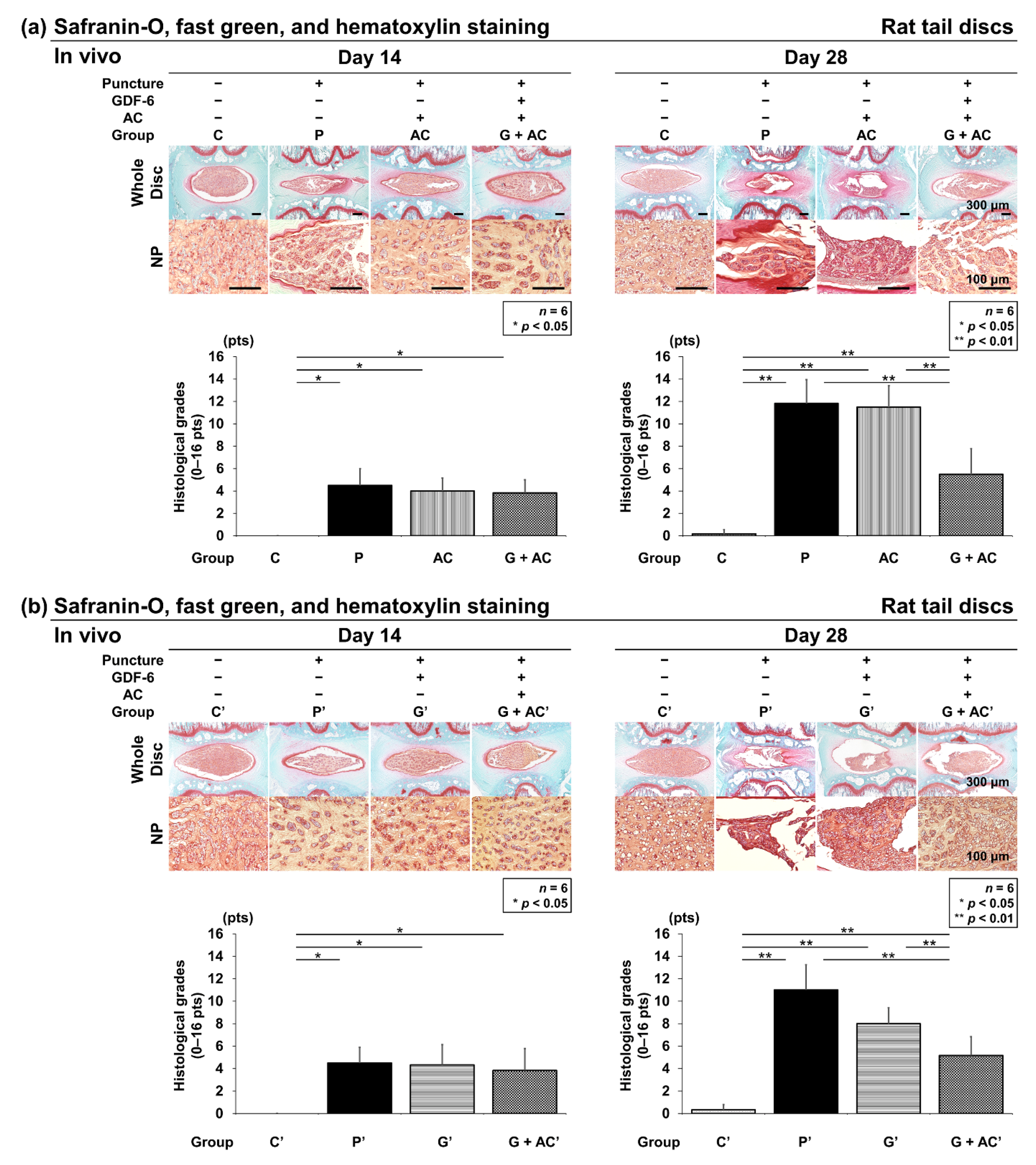 Cells 11 01174 g006 Cells 11 01174 g006