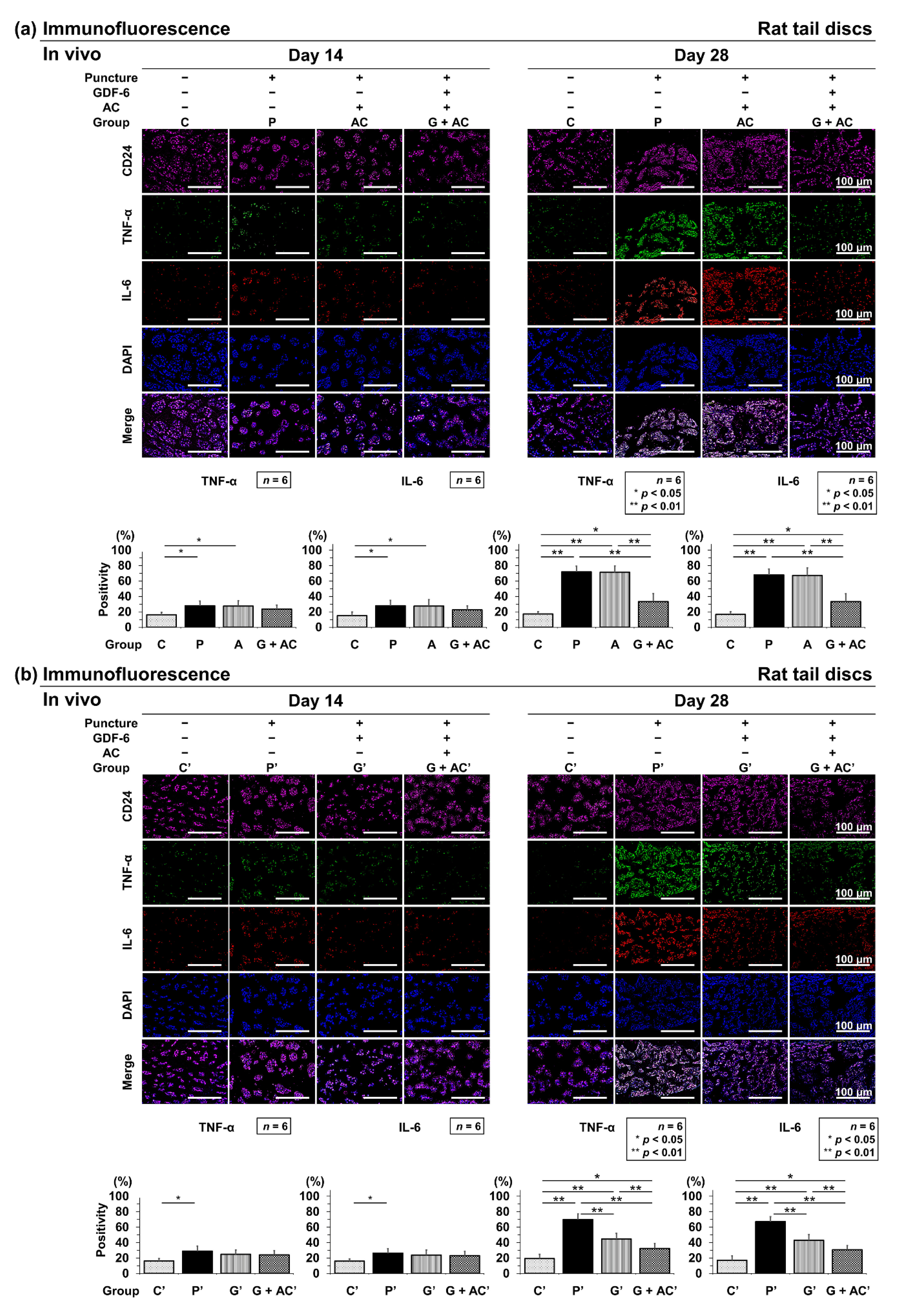 Cells 11 01174 g008 Cells 11 01174 g008
