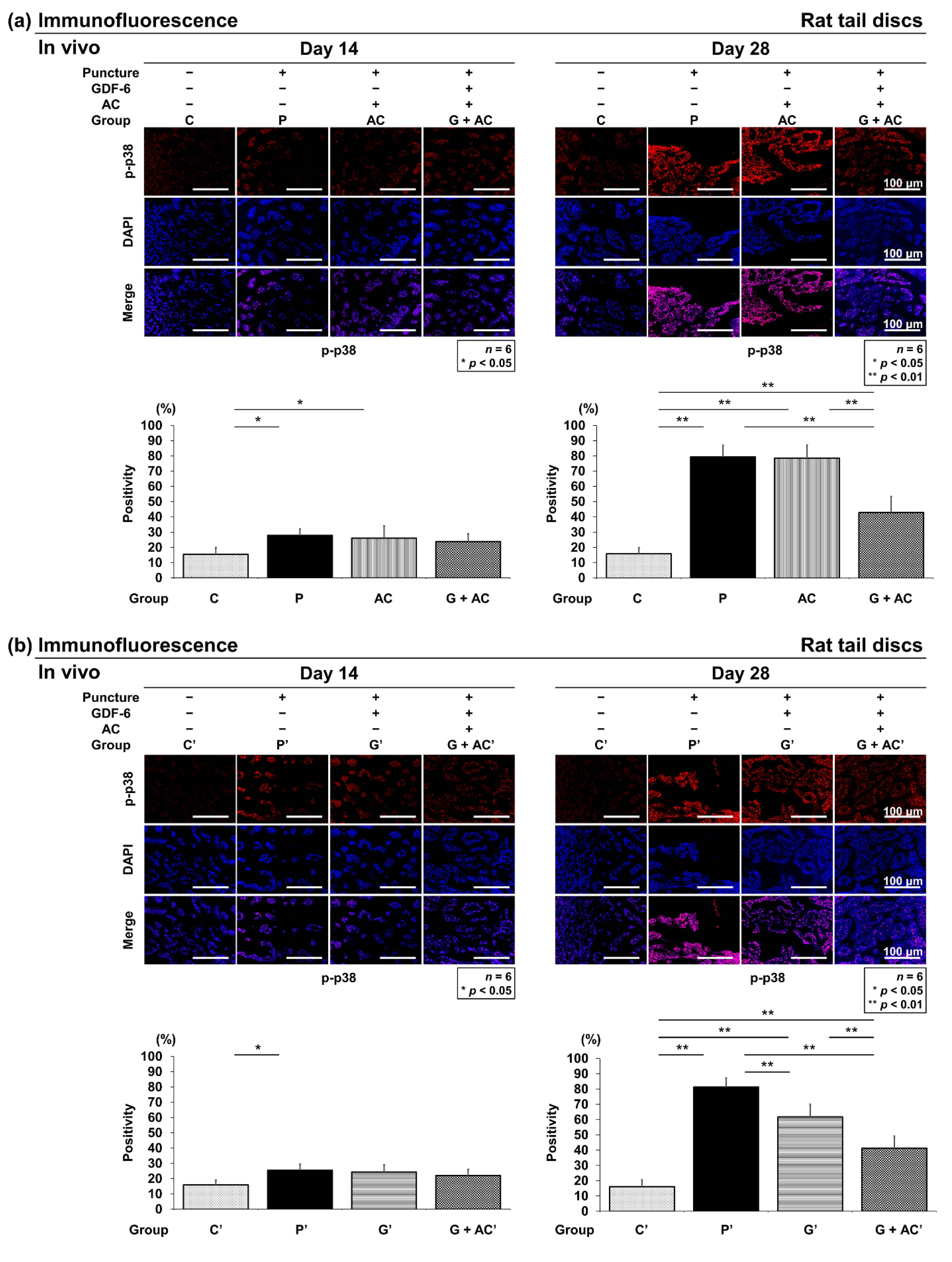 Cells 11 01174 g009 Cells 11 01174 g009