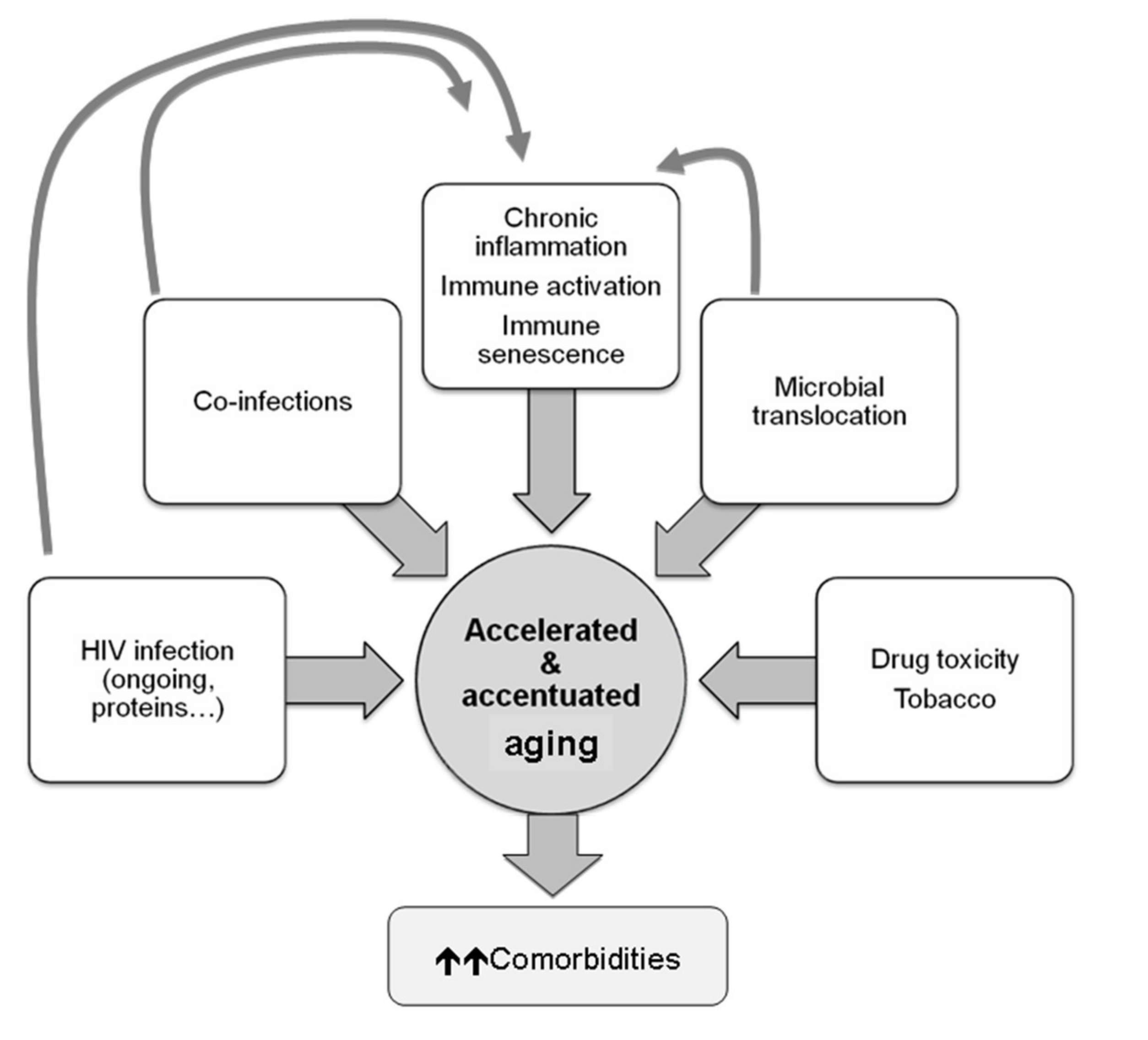 Cells 11 01222 g004 Cells 11 01222 g004