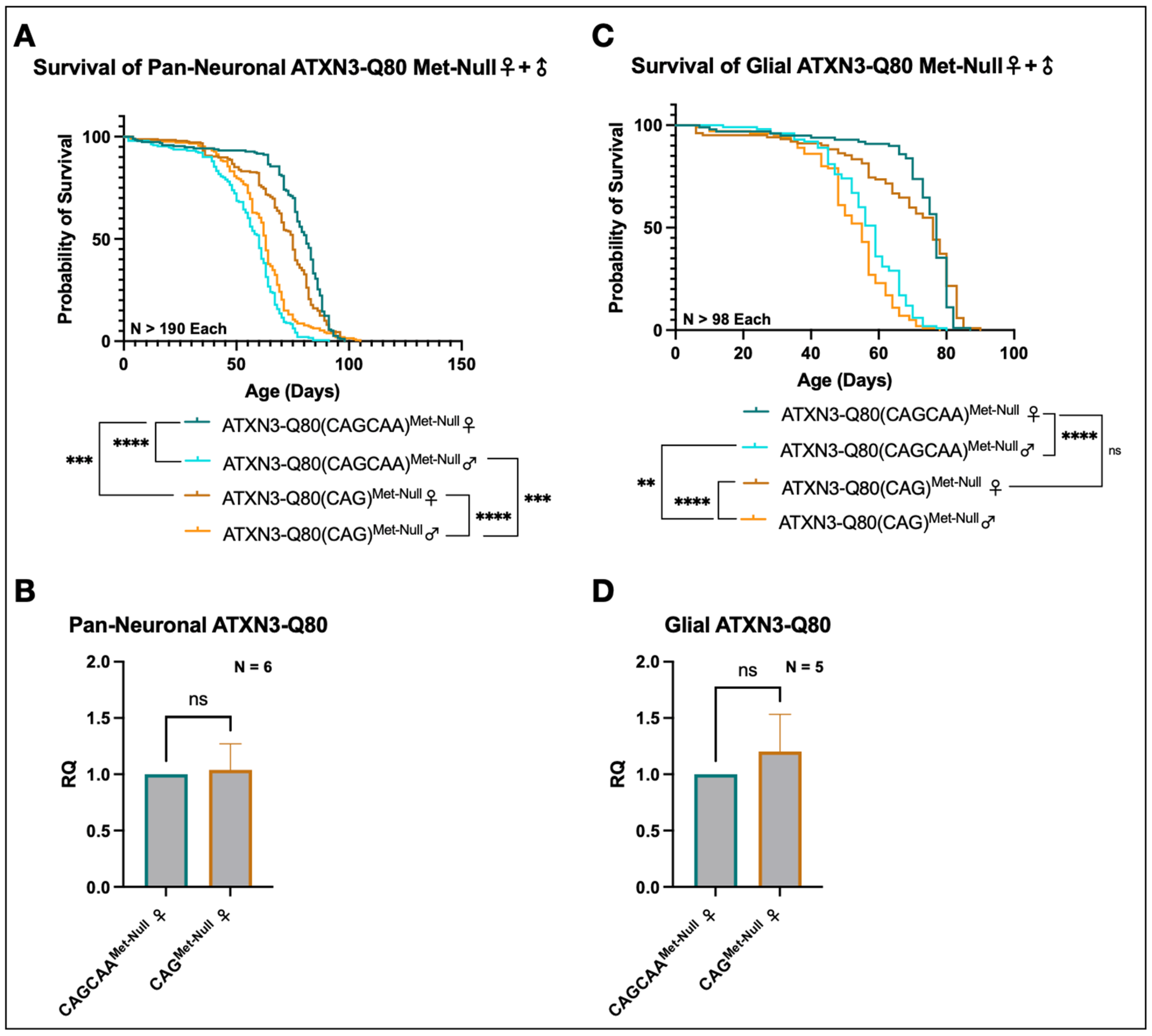 Cells 11 01223 g006 Cells 11 01223 g006