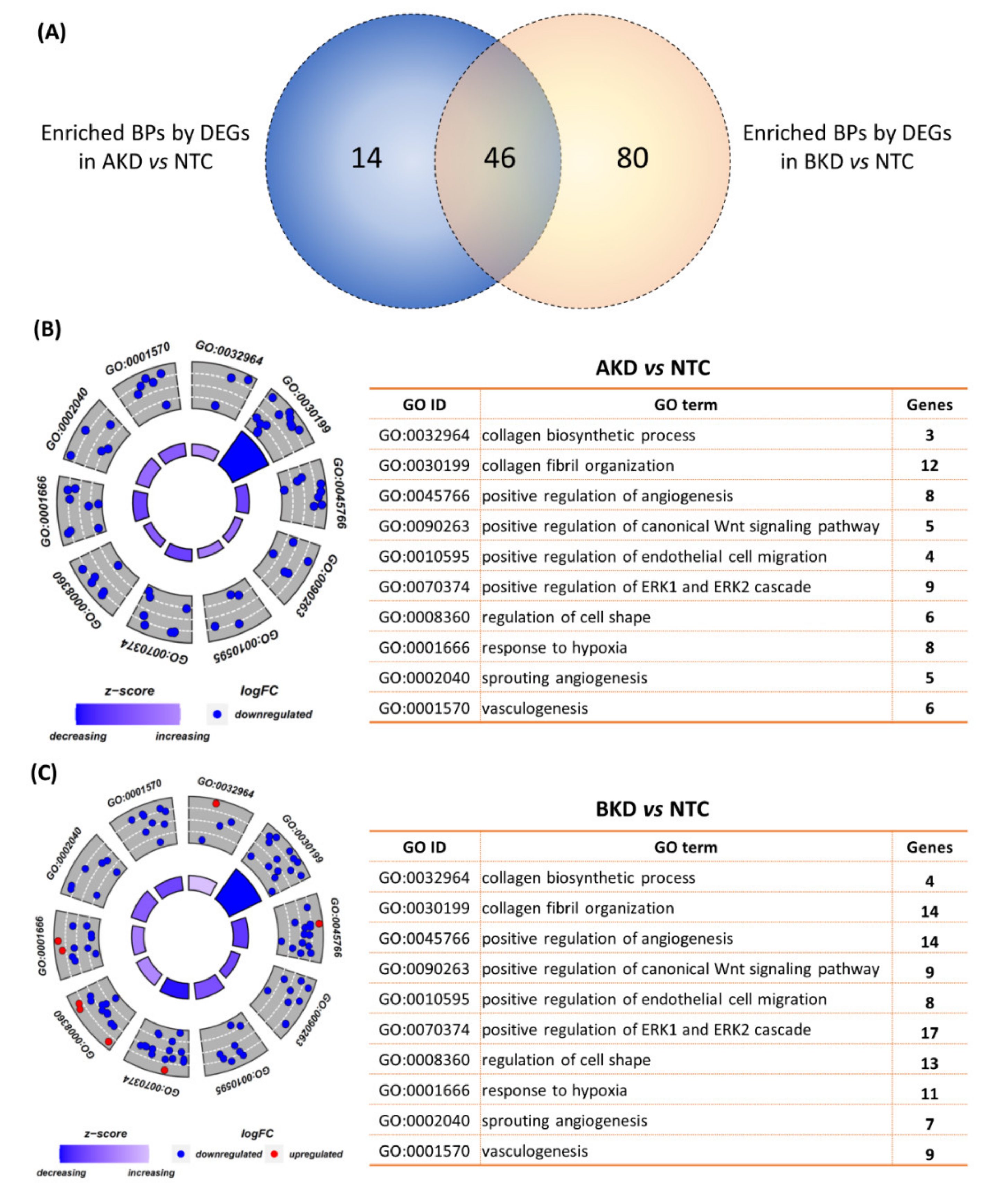 Cells 11 01234 g003 Cells 11 01234 g003