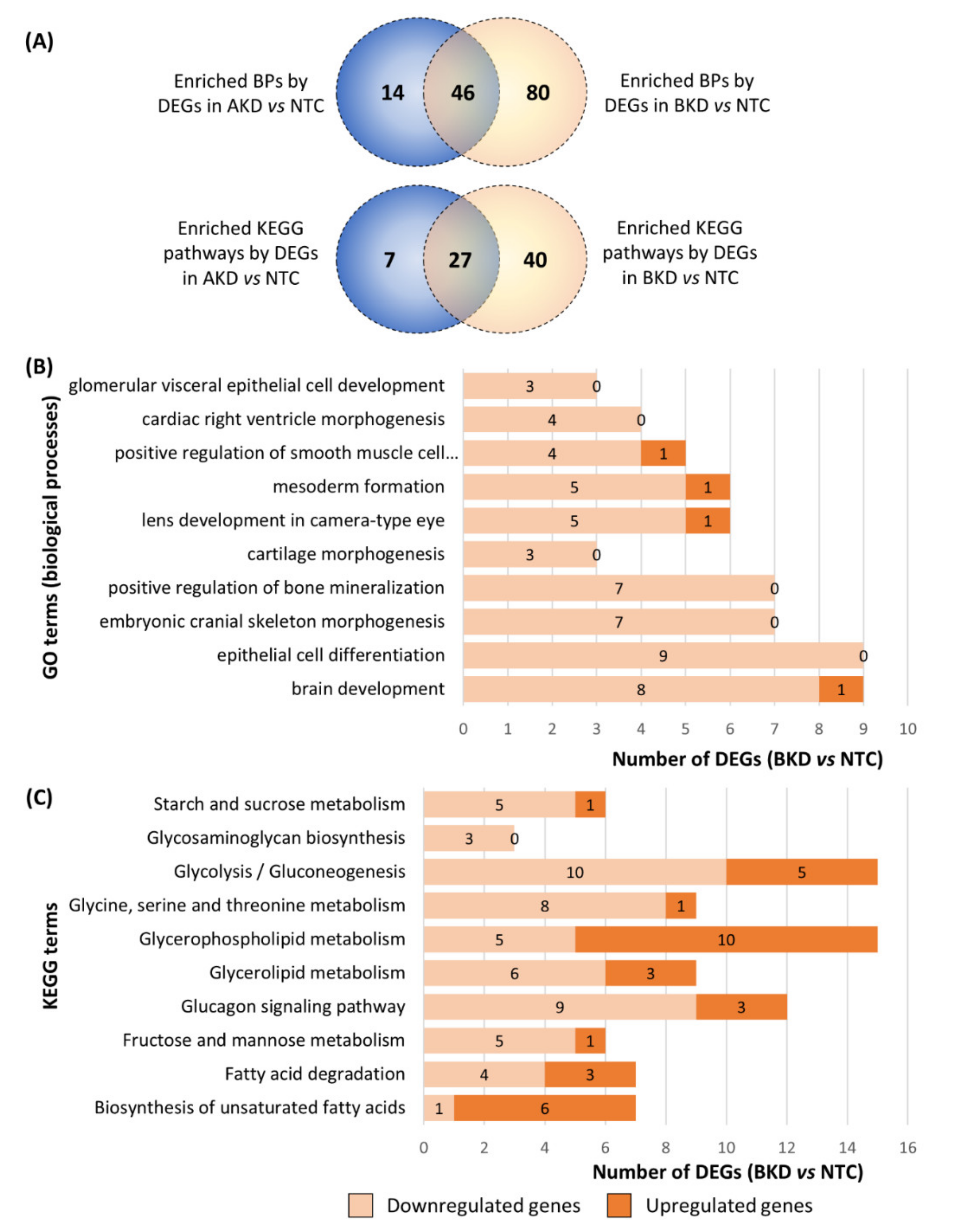 Cells 11 01234 g005 Cells 11 01234 g005