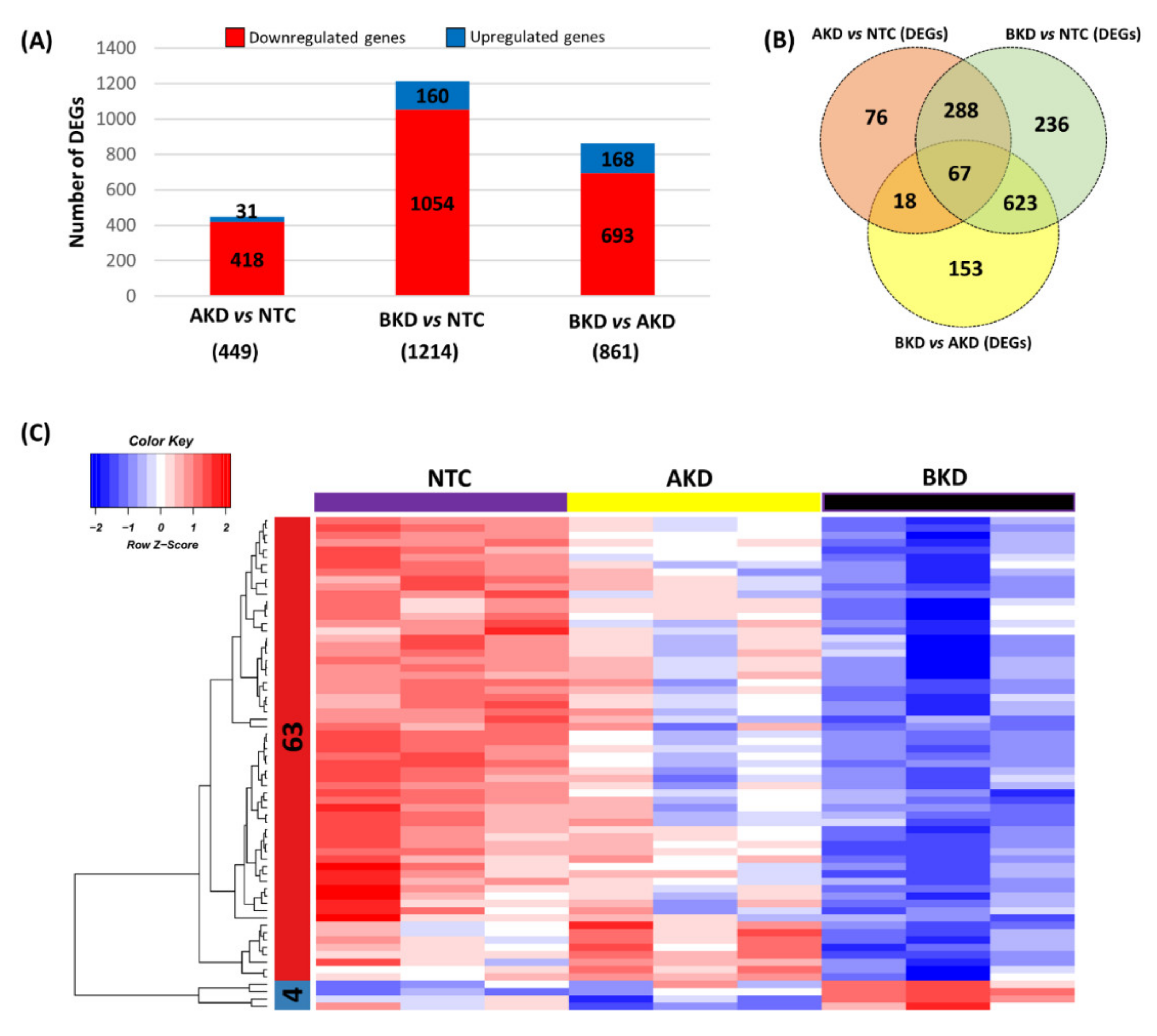 Cells 11 01234 g006 Cells 11 01234 g006