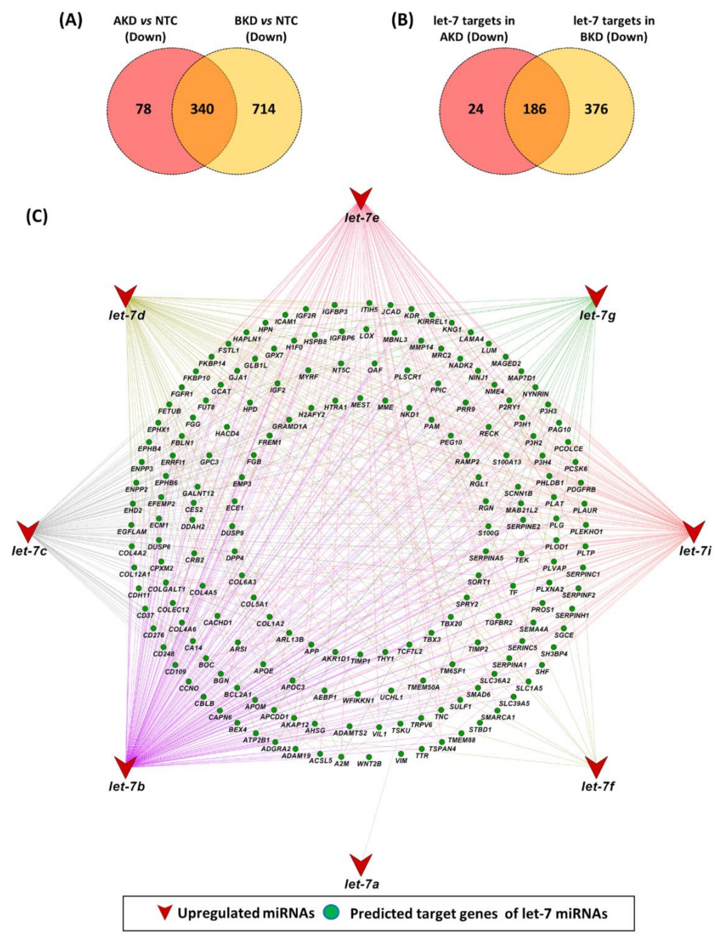 Cells 11 01234 g008 Cells 11 01234 g008
