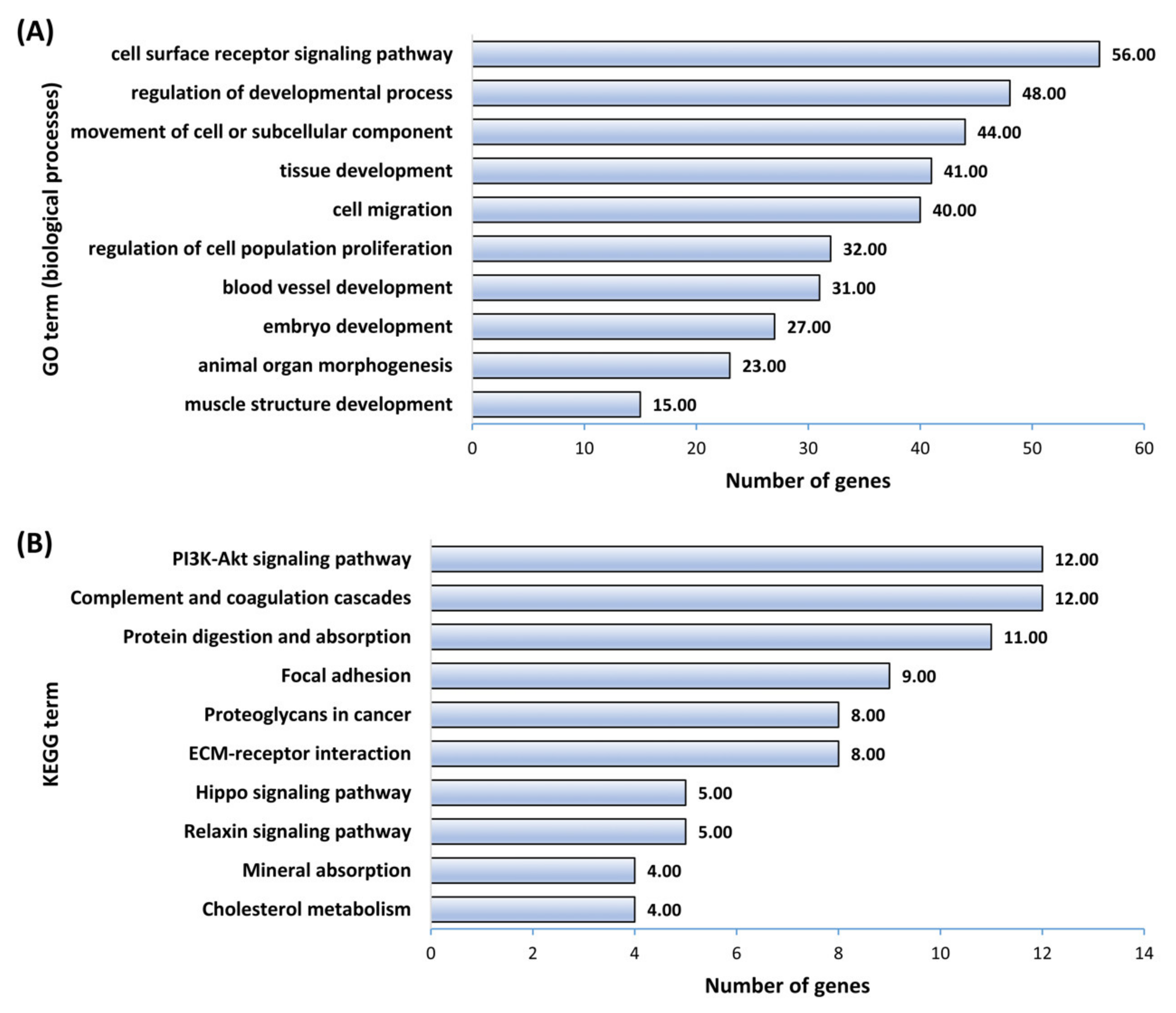 Cells 11 01234 g009 Cells 11 01234 g009