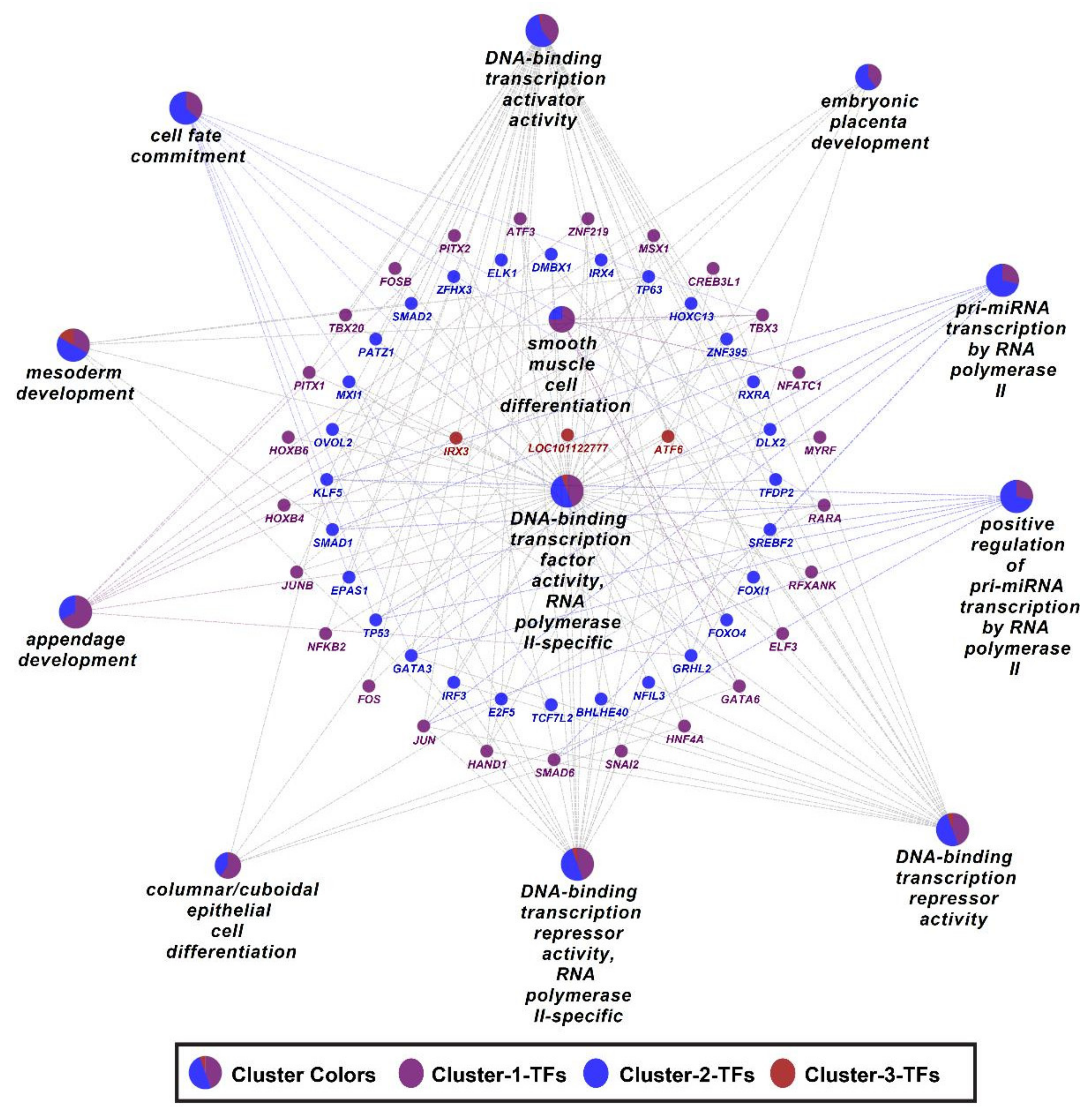 Cells 11 01234 g011 Cells 11 01234 g011