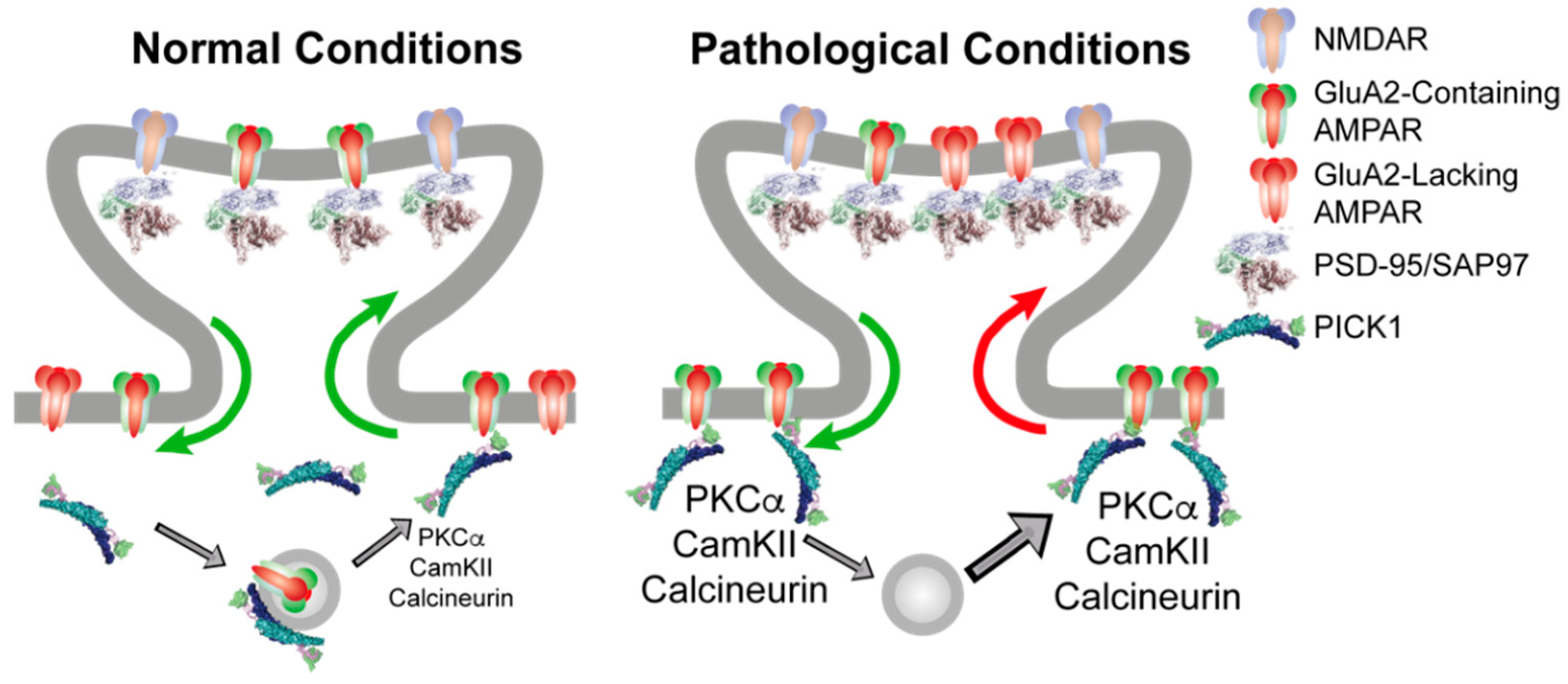 Cells 11 01255 g001 Cells 11 01255 g001