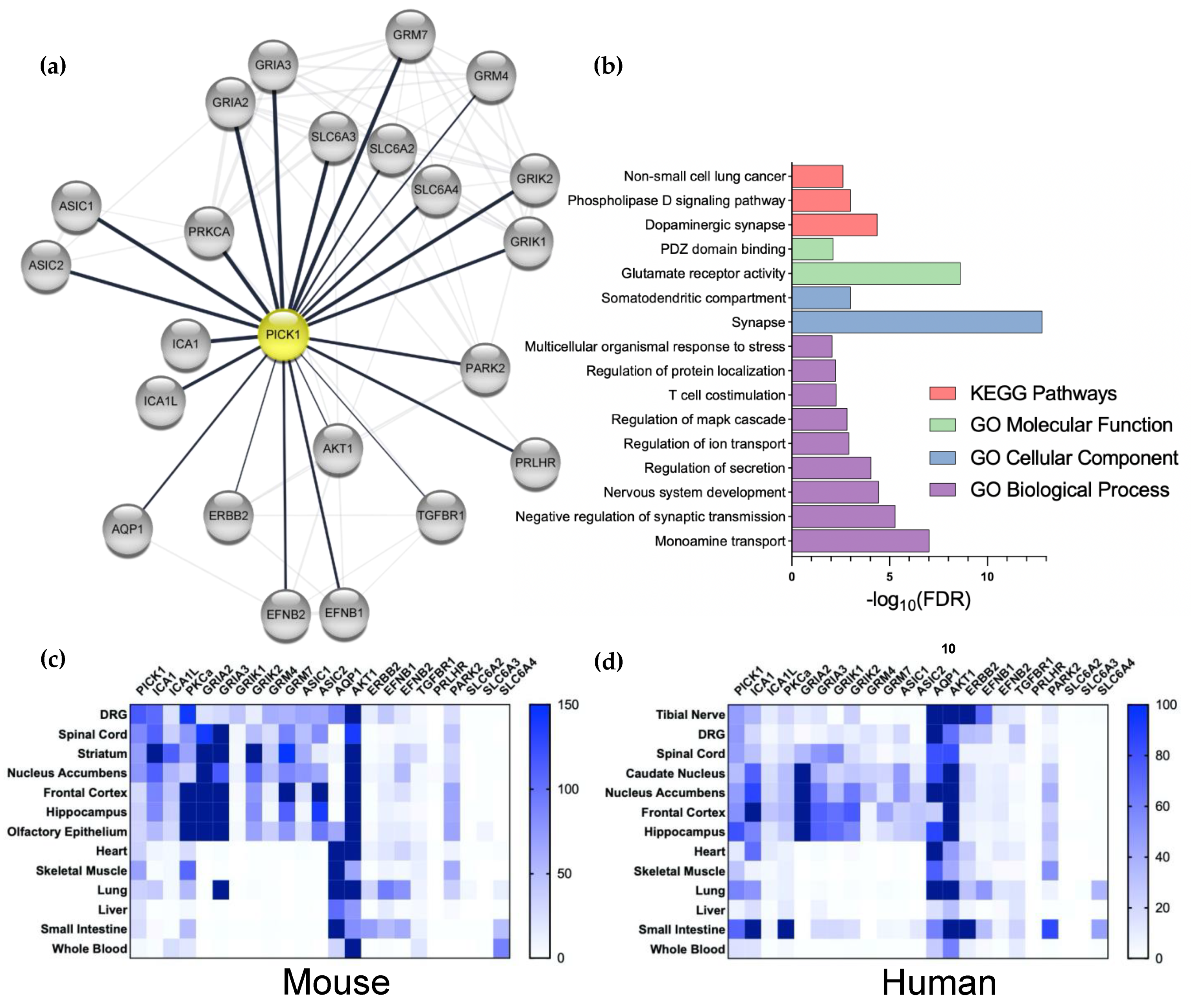 Cells 11 01255 g002 Cells 11 01255 g002