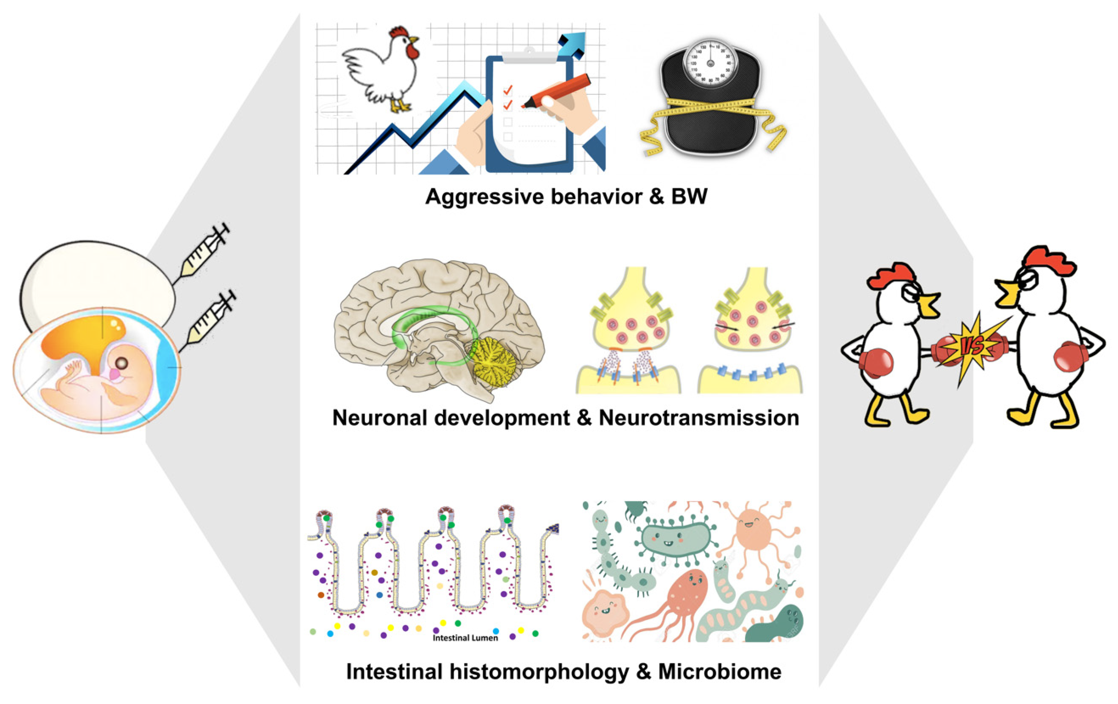 Cells 11 01270 g002 Cells 11 01270 g002