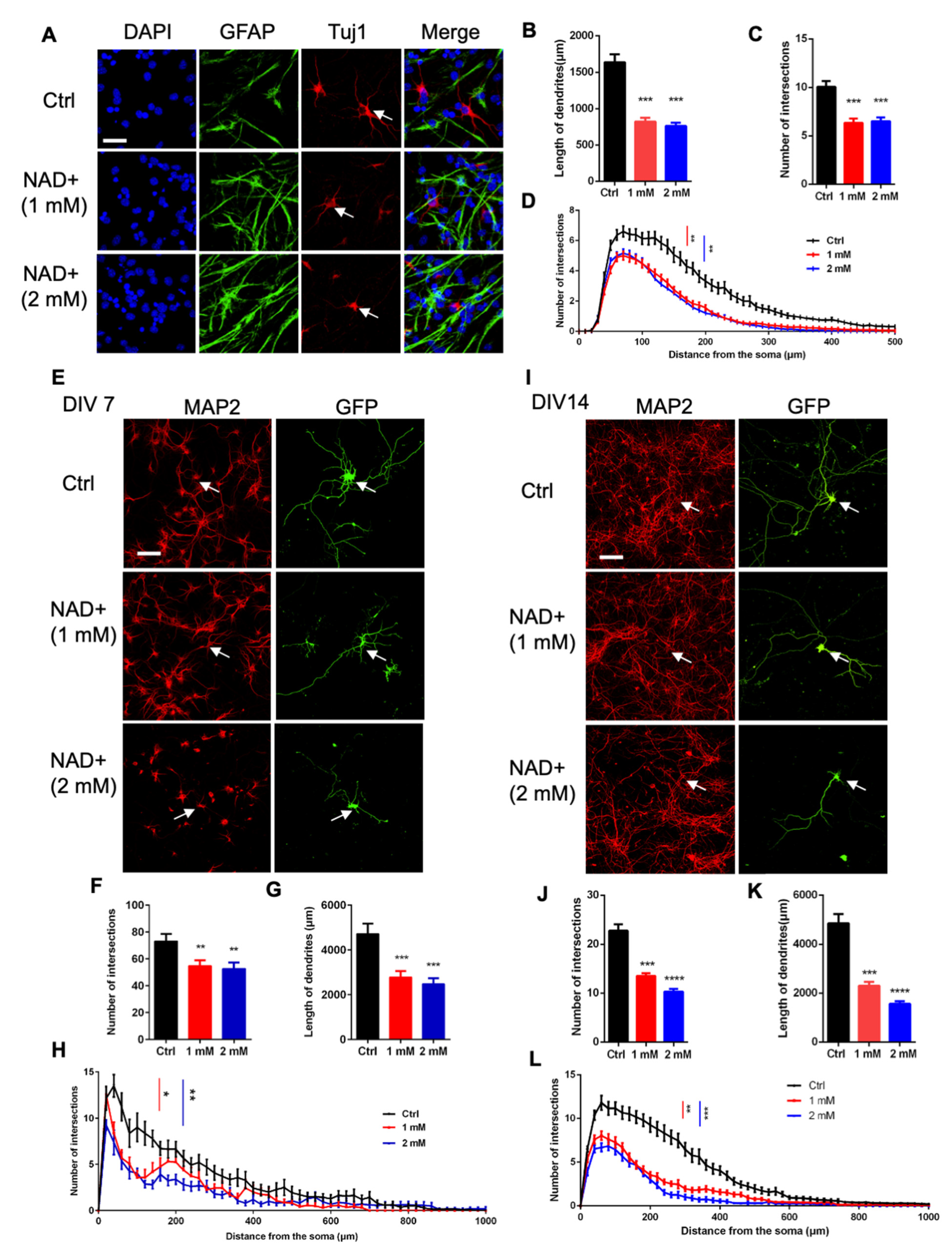 Cells 11 01283 g003