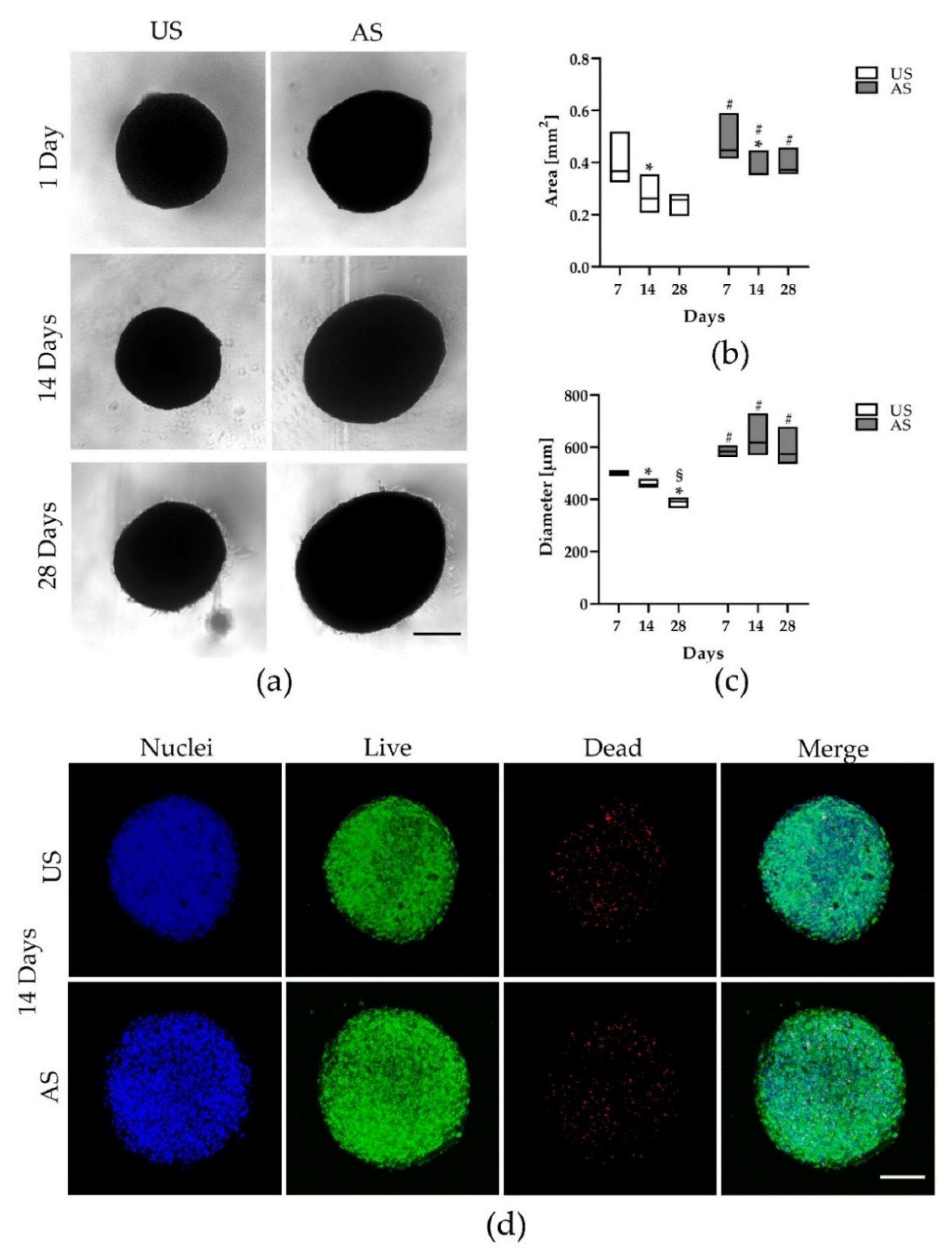 Cells | Free Full-Text | A Comparative Study on the Adipogenic  Differentiation of Mesenchymal Stem/Stromal Cells in 2D and 3D Culture