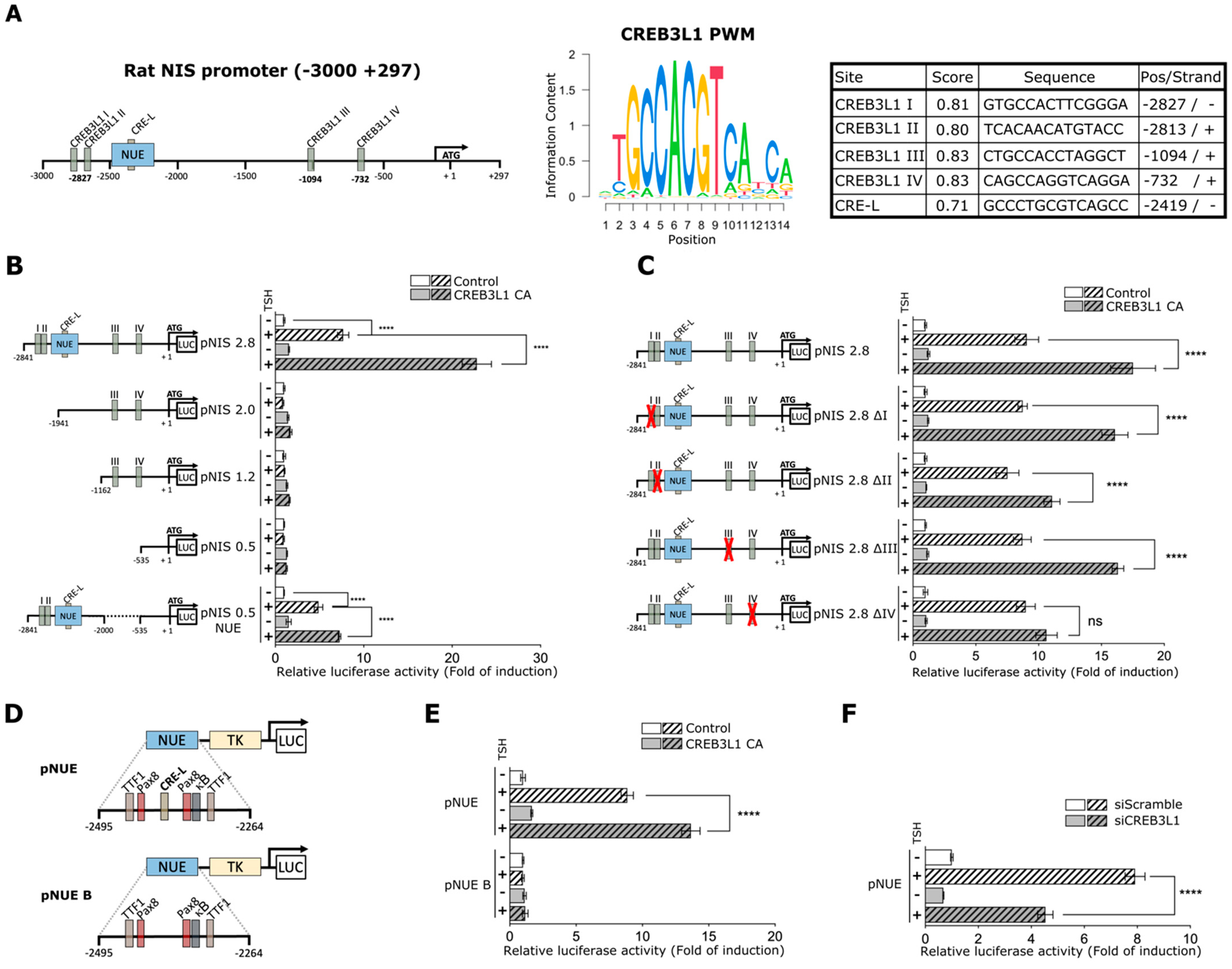 Cells 11 01314 g005 Cells 11 01314 g005