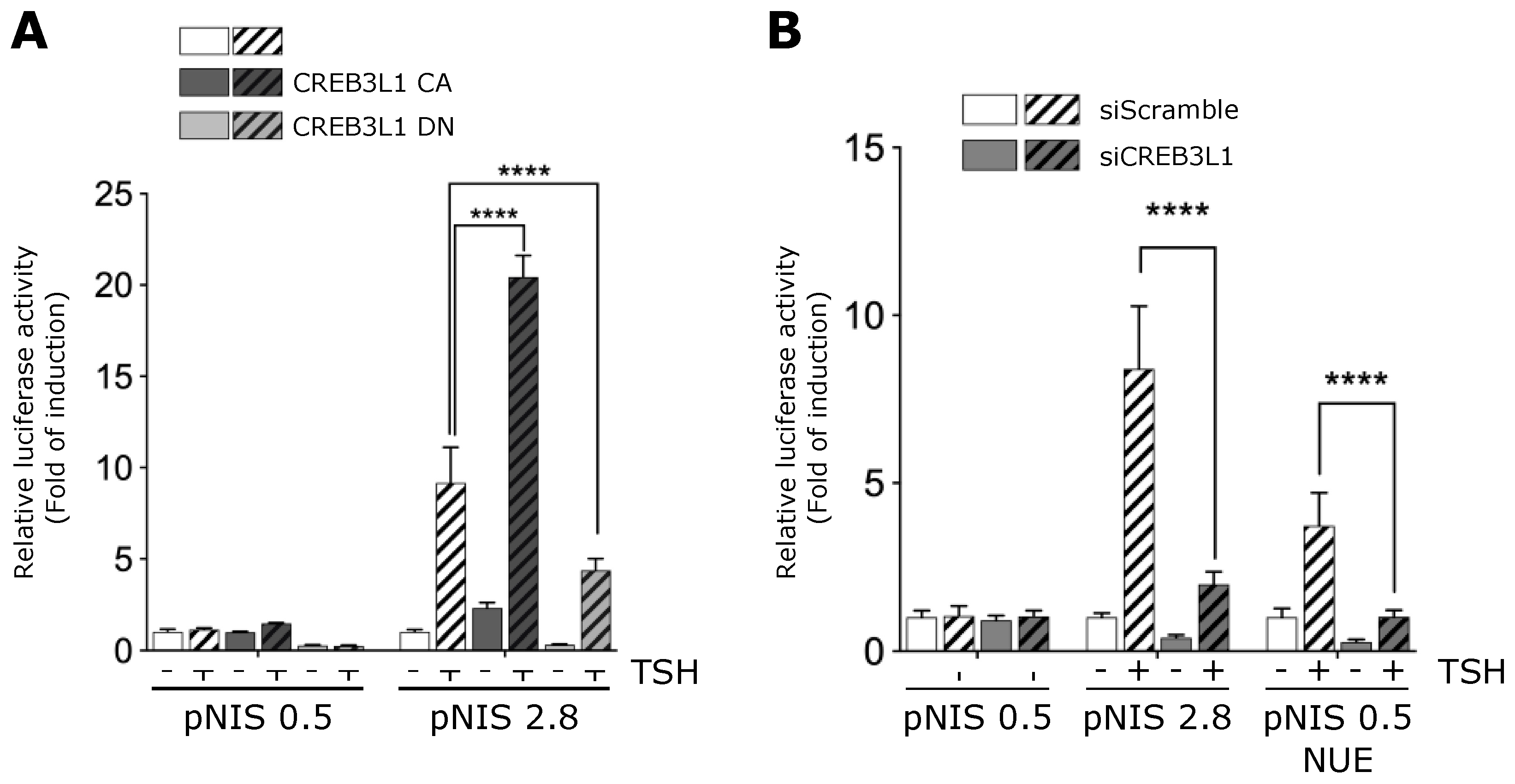 Cells 11 01314 g006 Cells 11 01314 g006