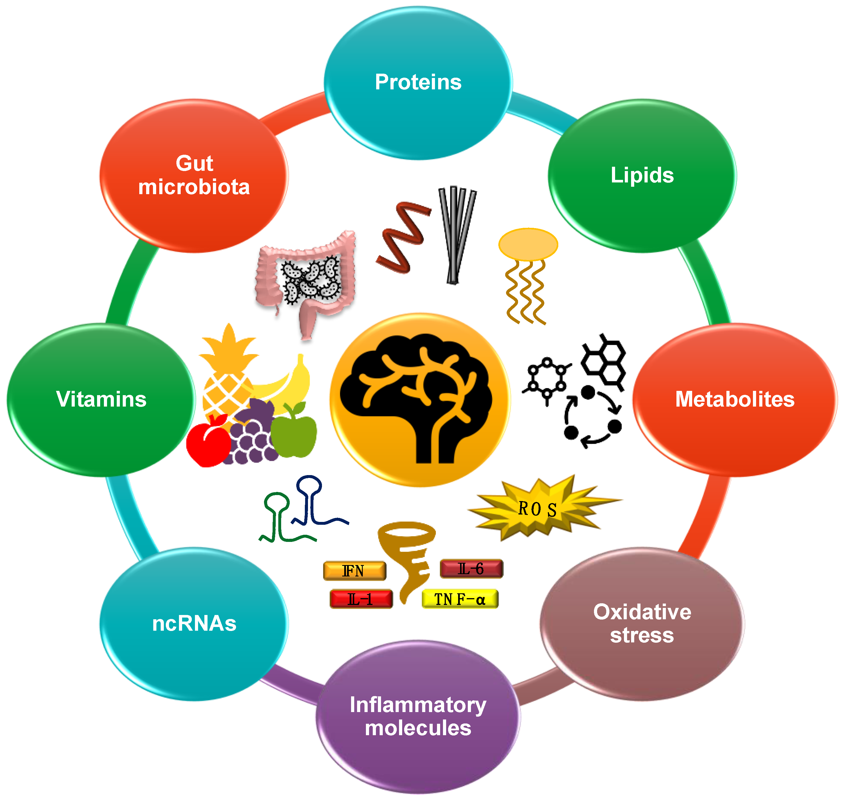 PDF) Blood Biomarkers of Alzheimer's Disease and Cognition: A Literature  Review.