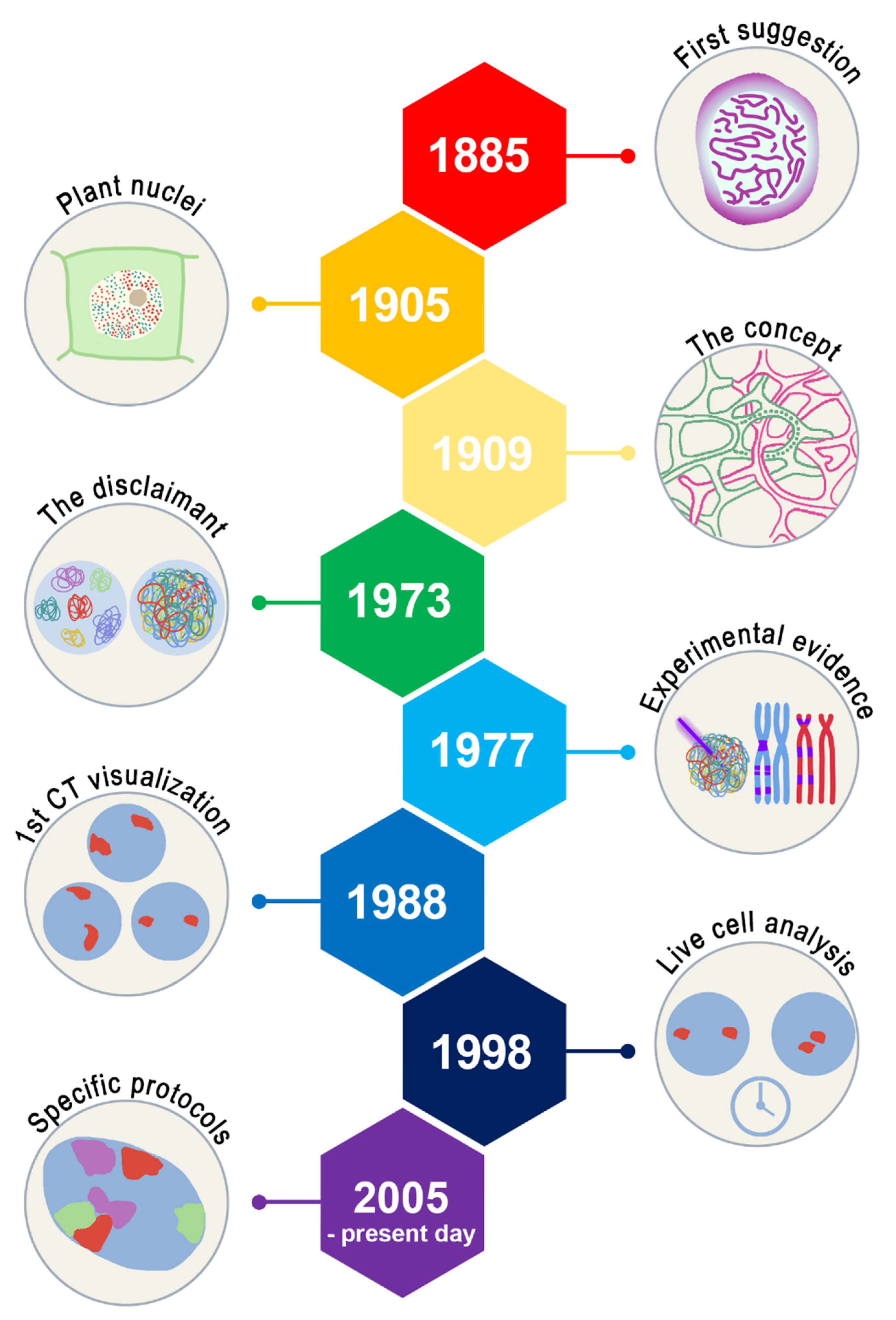 Cells | Free Full-Text | Chromosome Territories in Hematological  Malignancies