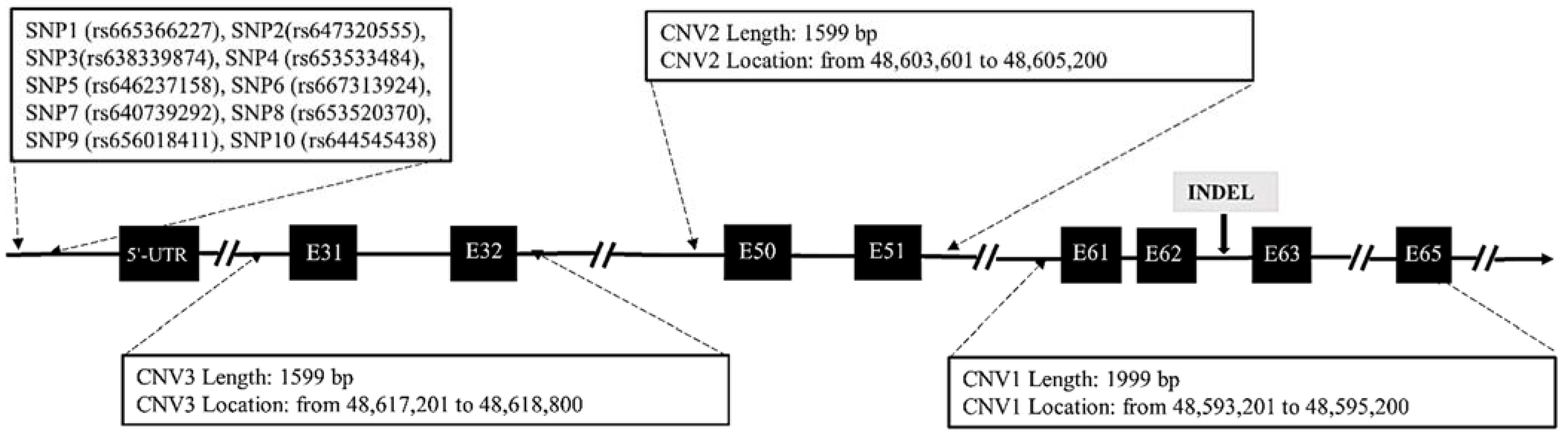 Cells 11 01371 g001 Cells 11 01371 g001
