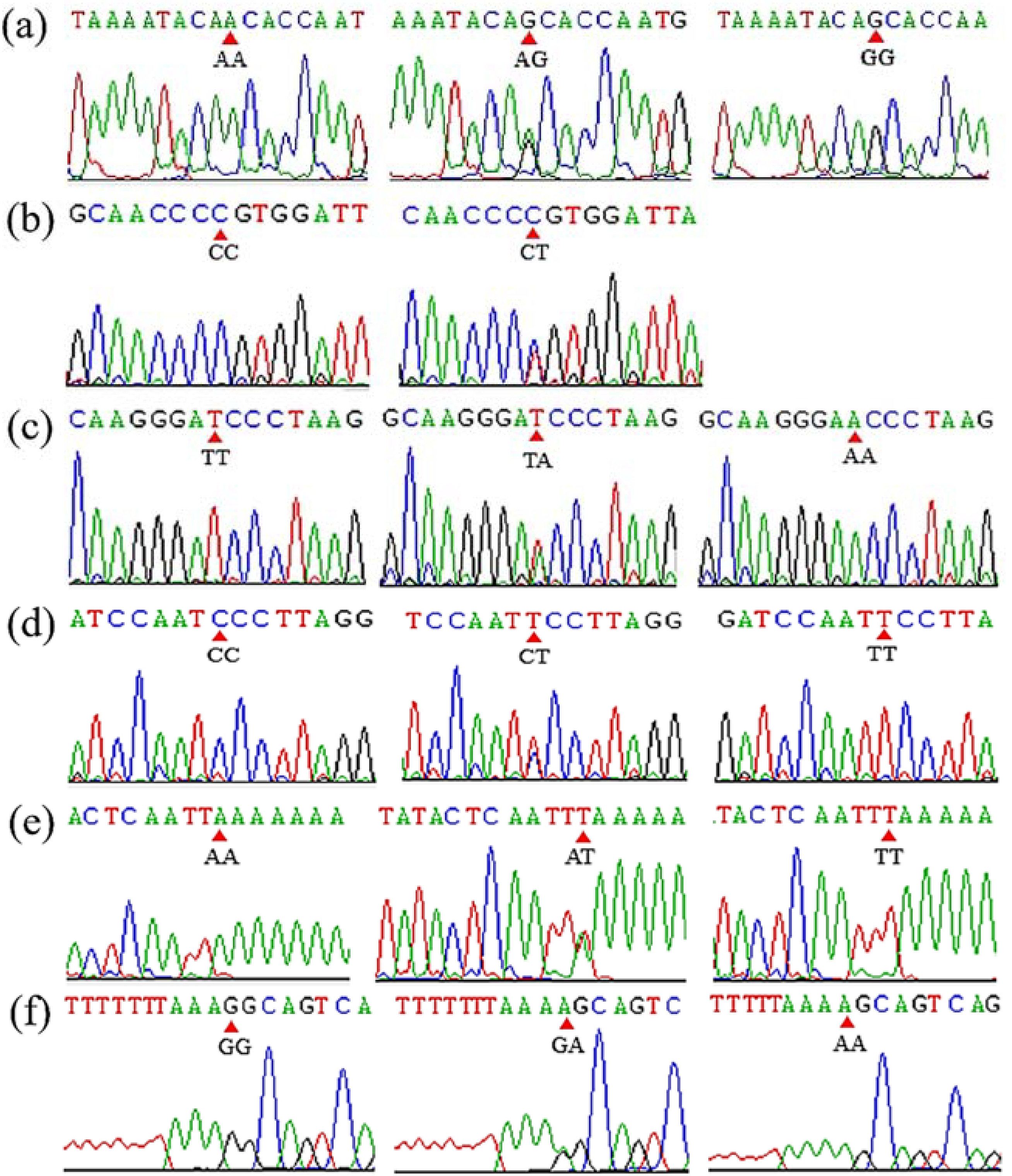 Cells 11 01371 g002 Cells 11 01371 g002