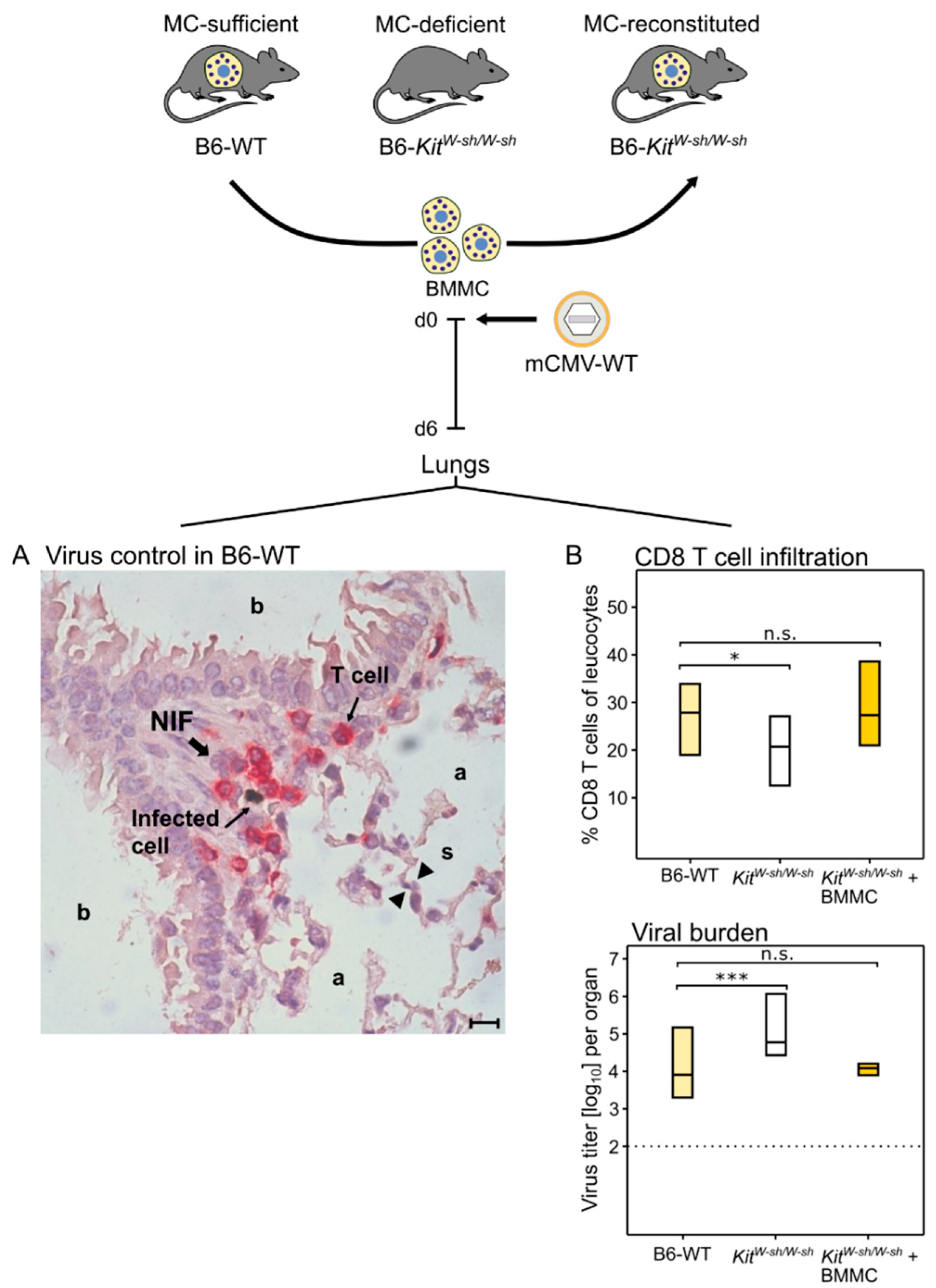 Cells 11 01402 g002 Cells 11 01402 g002