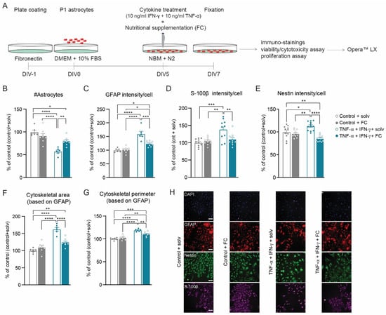 LIVE/DEAD Cell assay. a Control for live cells (normal astrocytes