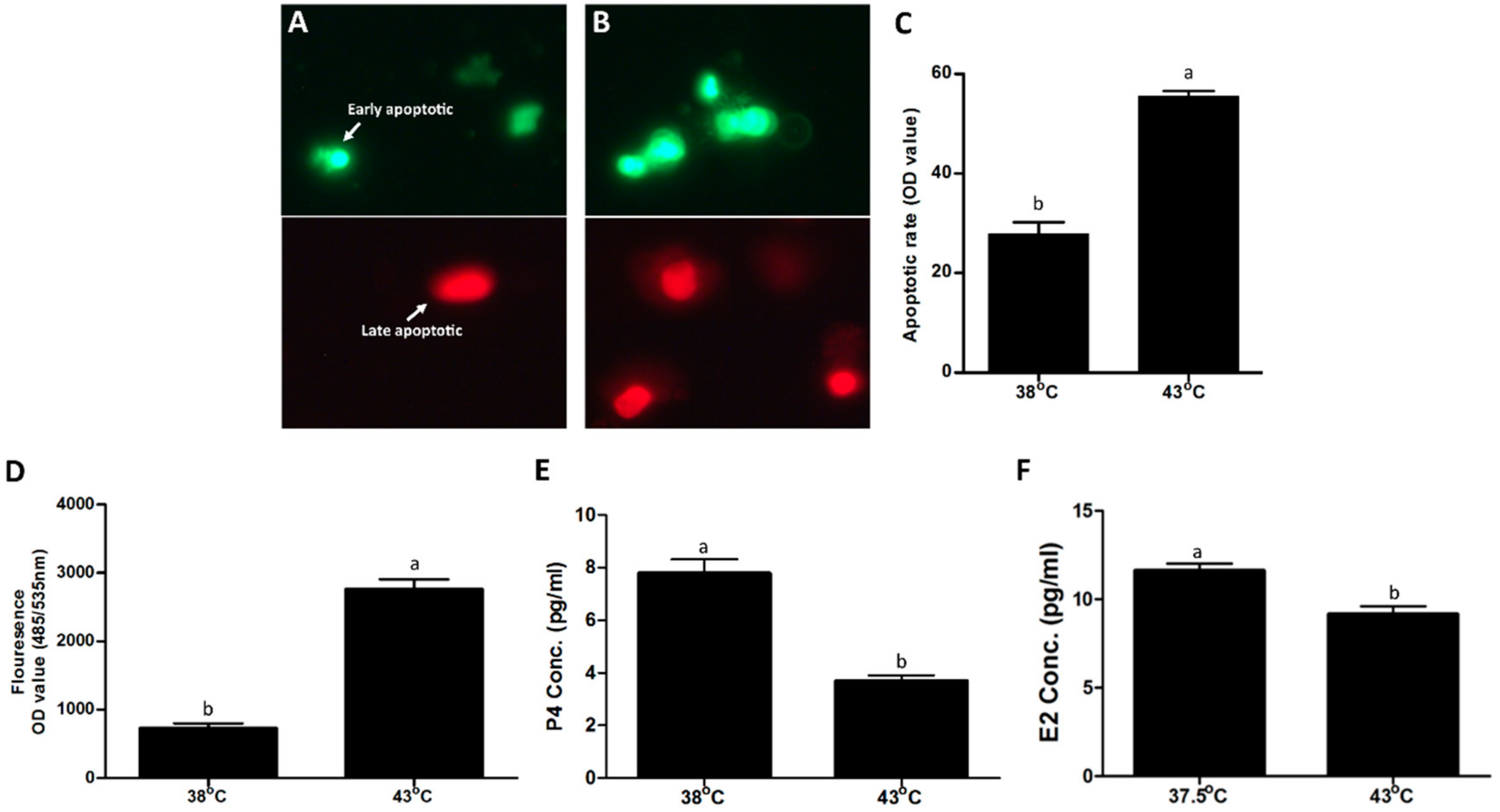Cells 11 01443 g002